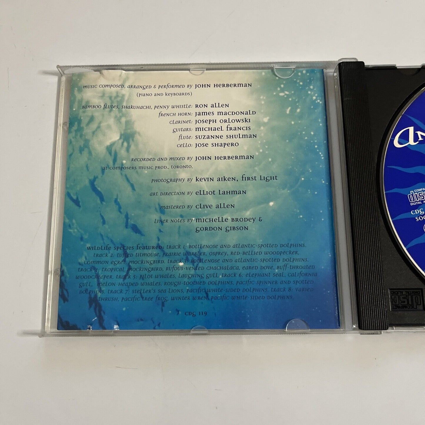 Angels of the Sea by Dan Gibson (CD, 2008)