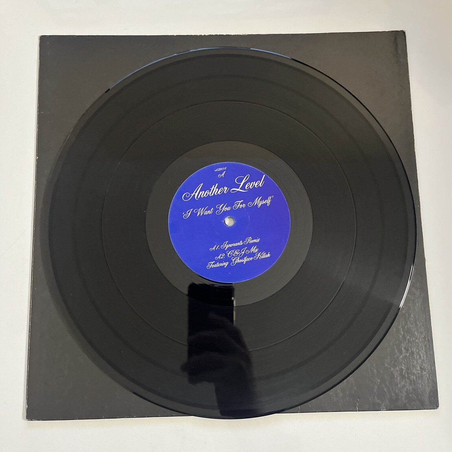 Another Level – I Want You For Myself 12" Vinyl Record 1998 ALX15