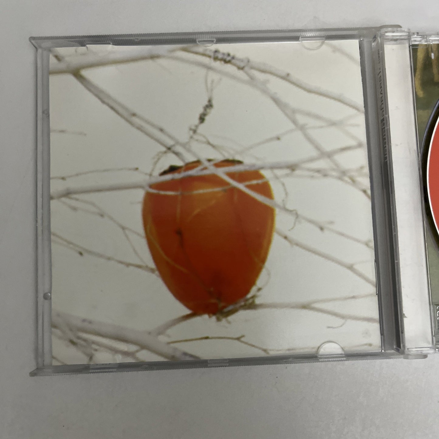 Savage Garden – Savage Garden (CD, 1997) Album 100813-2