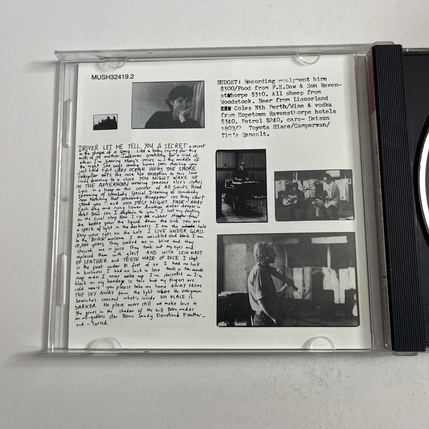 The Triffids – In The Pines (CD, 1991) Australia D19480