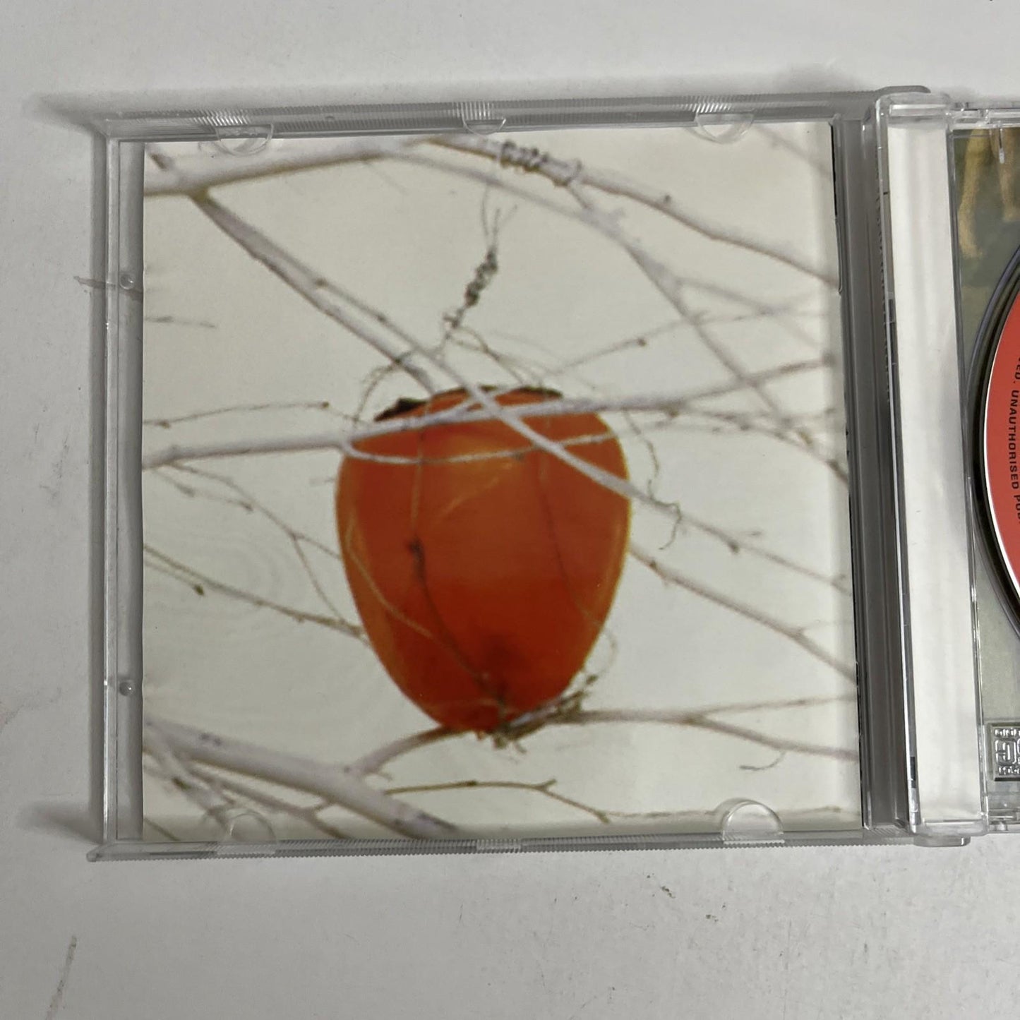 Savage Garden – Savage Garden (CD, 1997) Australia 100813-2
