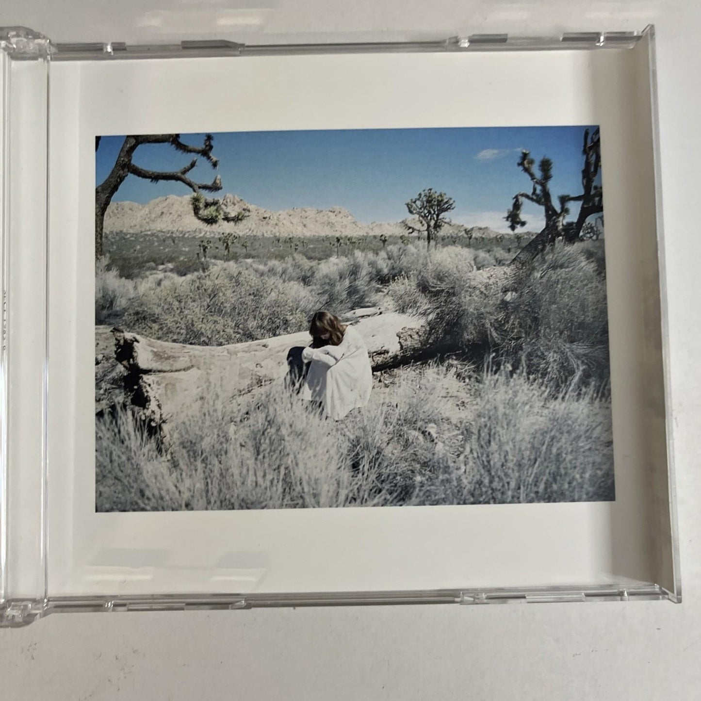 Aimer – Daydream (CD + DVD, 2016, 2-Disc) Japan Limited Edition