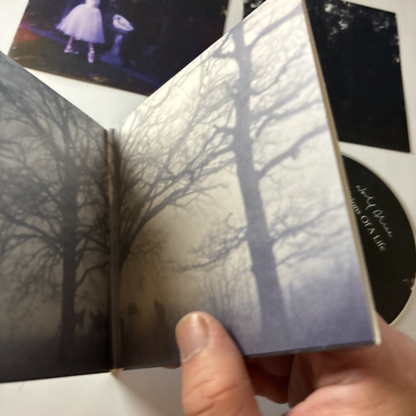 Wolf Alice - Visions Of A Life (CD, 2017) UK & dh00213j