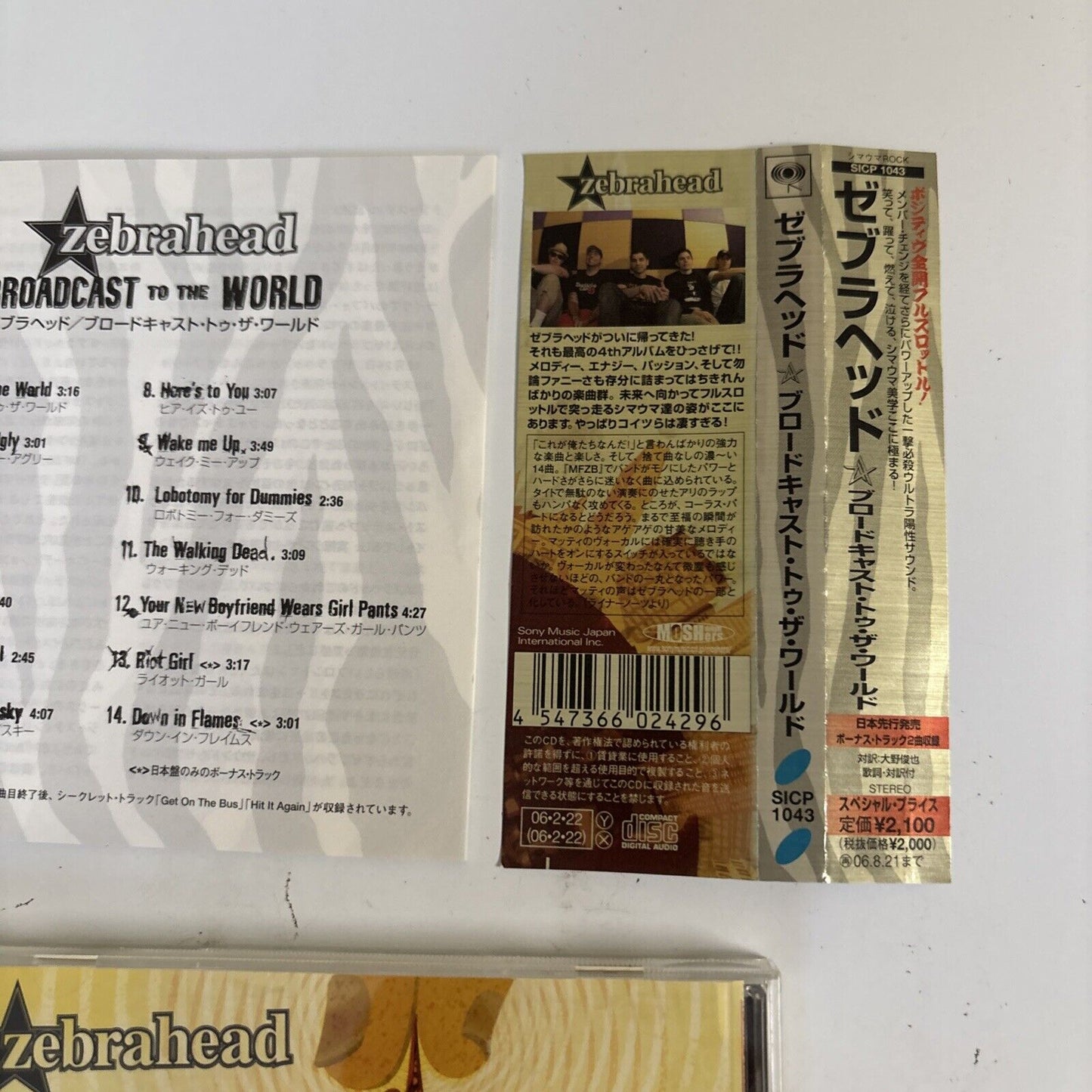 Zebrahead – Broadcast To The World (CD, 2006) sicp-1043 Japan Bonus Track, obi
