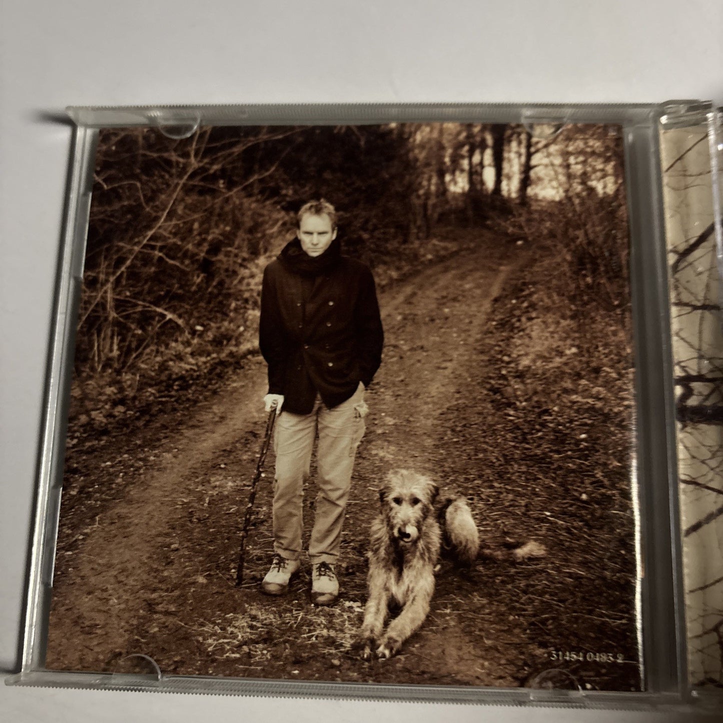 Sting – Mercury Falling (CD, 1996) US 31454 0483 2