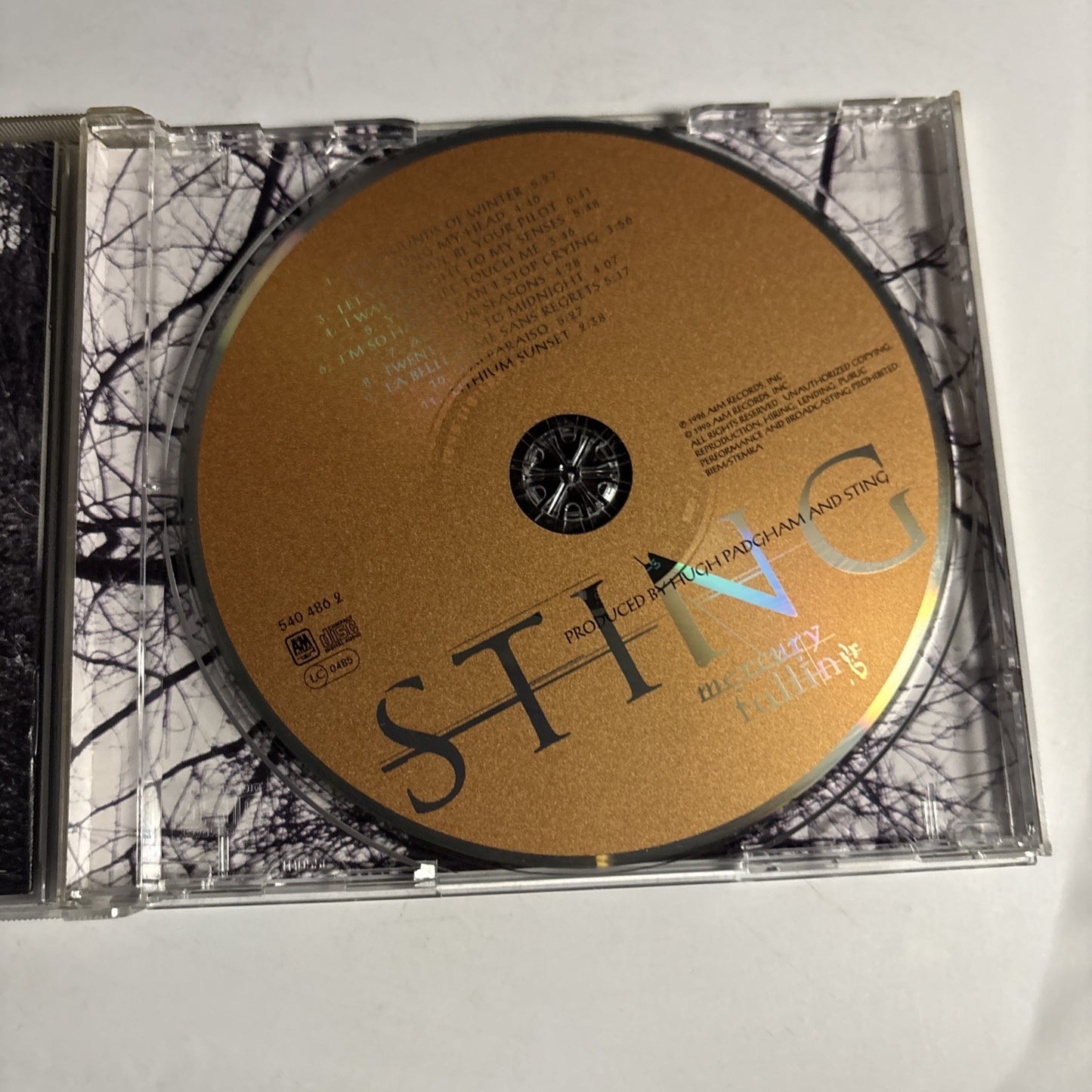 Sting – Mercury Falling (CD, 1996) Europe 540 486 2