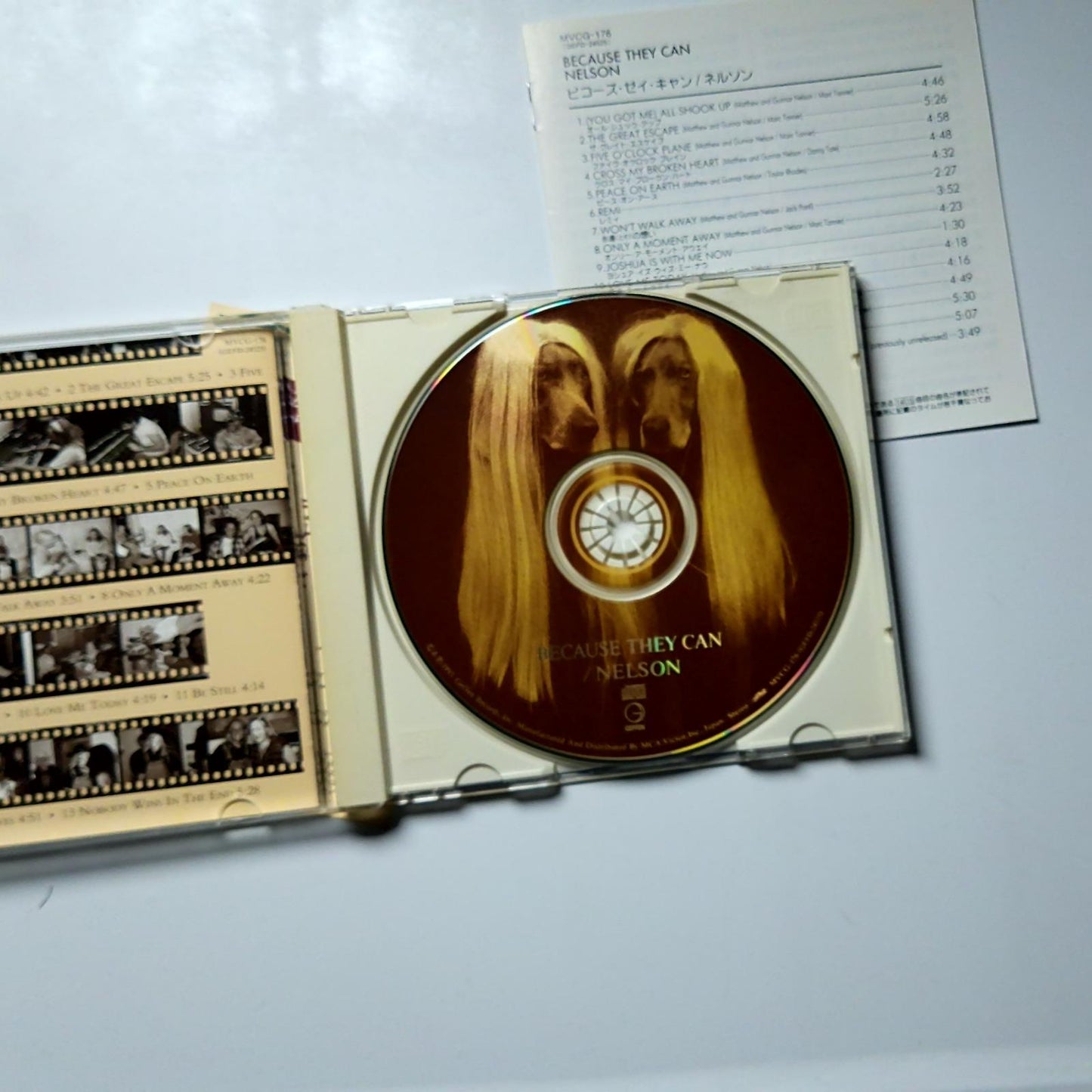 Nelson – Because They Can (CD, 1995) Japan Bonus Track MVCG-176