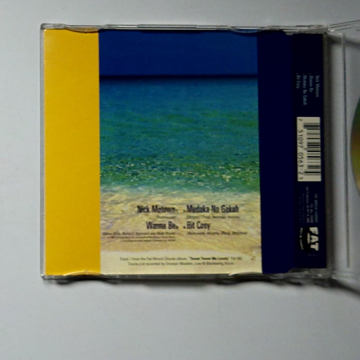 Snuff – Scminkie Minkie Pinkie (CD, 1998) US Fat 563-2