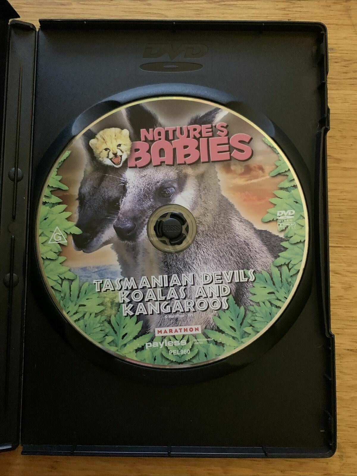 Nature's Babies: Tasmanian Devils, Koalas and Kangaroos (DVD, 1997)