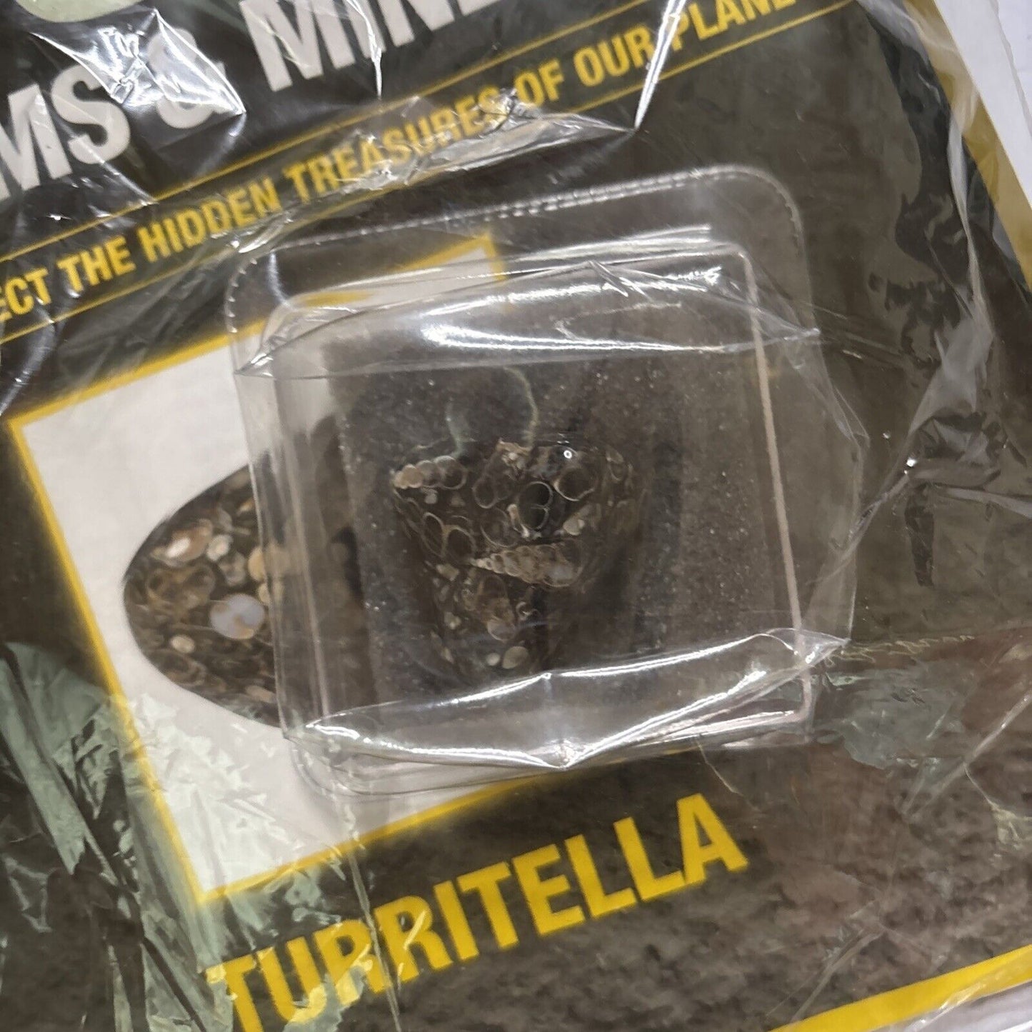 National Geographic Precious Rocks: Turritella Magazine 65
