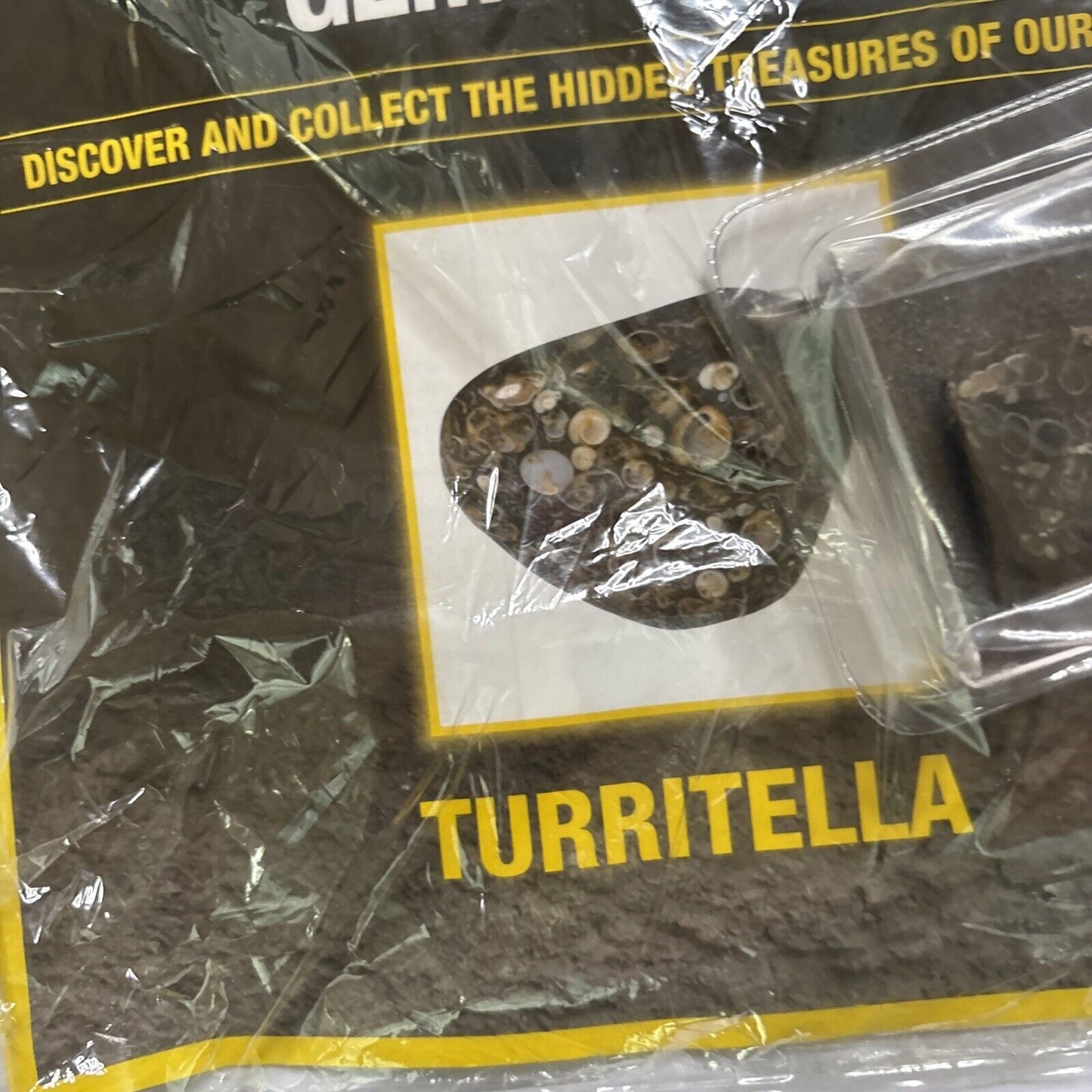 National Geographic Precious Rocks: Turritella Magazine 65