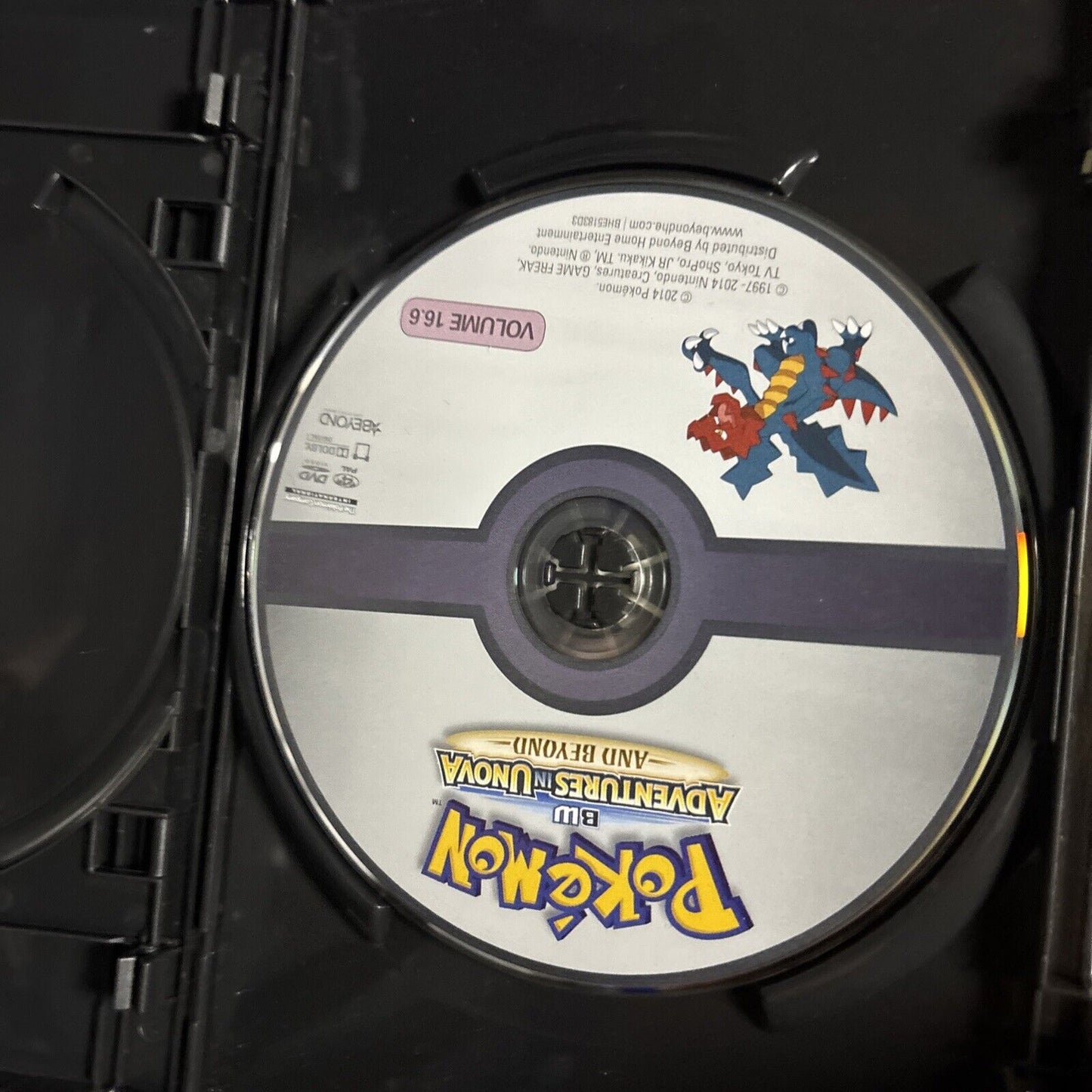 Pokemon - Black & White Adventures in Unova & Beyond: Collection 2 (DVD, 2013)