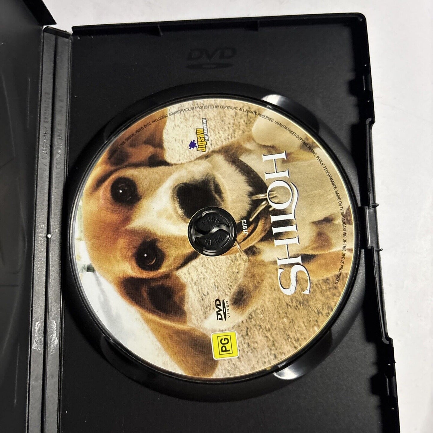 Shiloh (DVD, 1996) Scott Wilson, Michael Moriarty Region 4