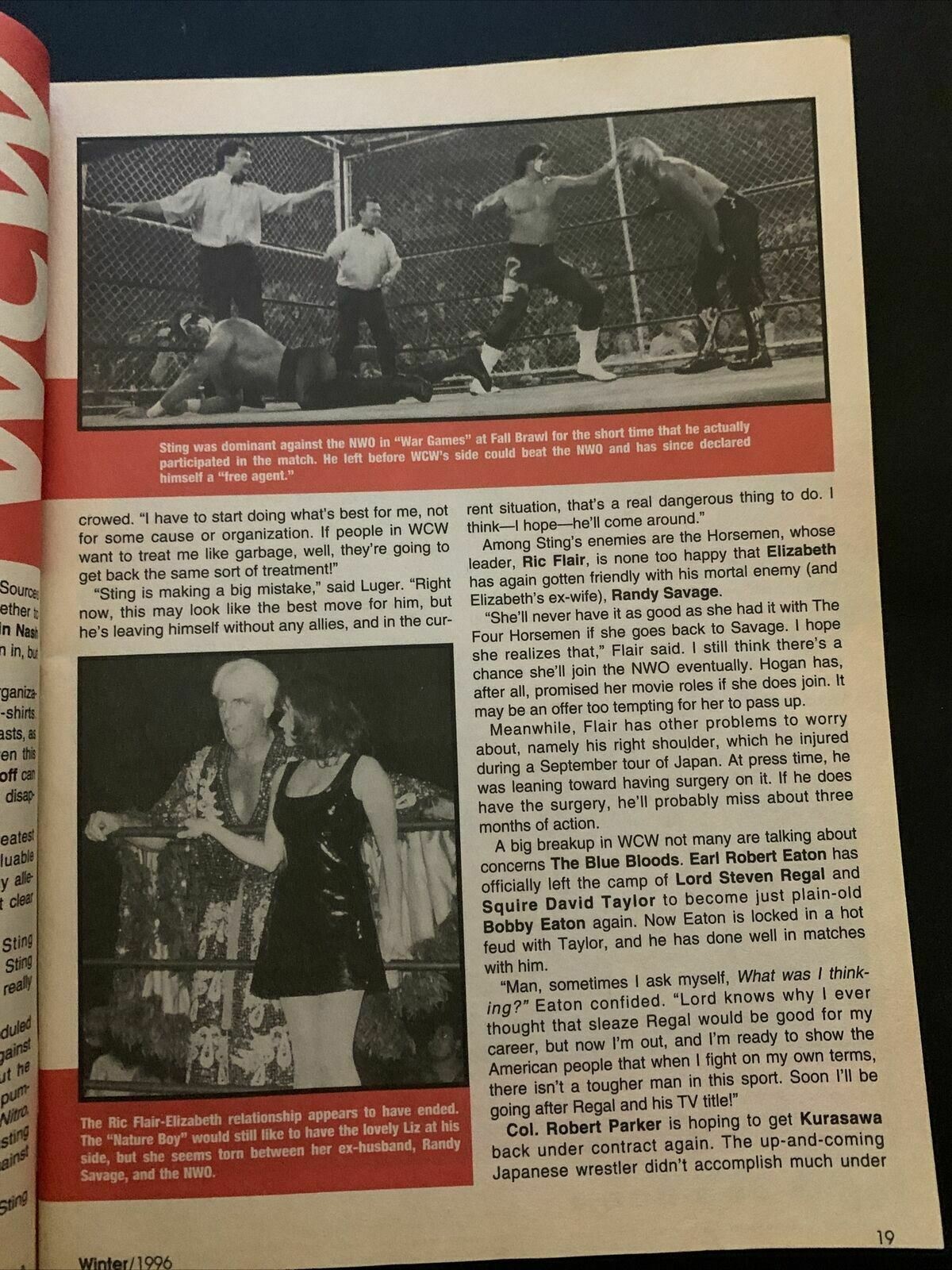 Wrestle America Magazine Winter 1996 - WWF vs WCW Special Report