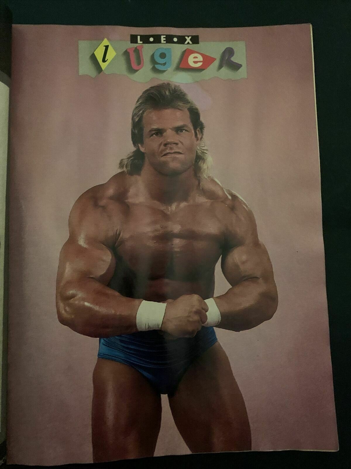 Wrestle America Magazine August 1993 - Chris Benoit, Sherri, Savage, Hawk-funk