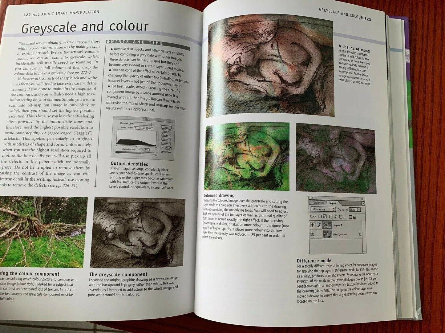 Digital Photographer's Handbook by Tom Ang (Hardcover) Detail Tips & Hints Pro