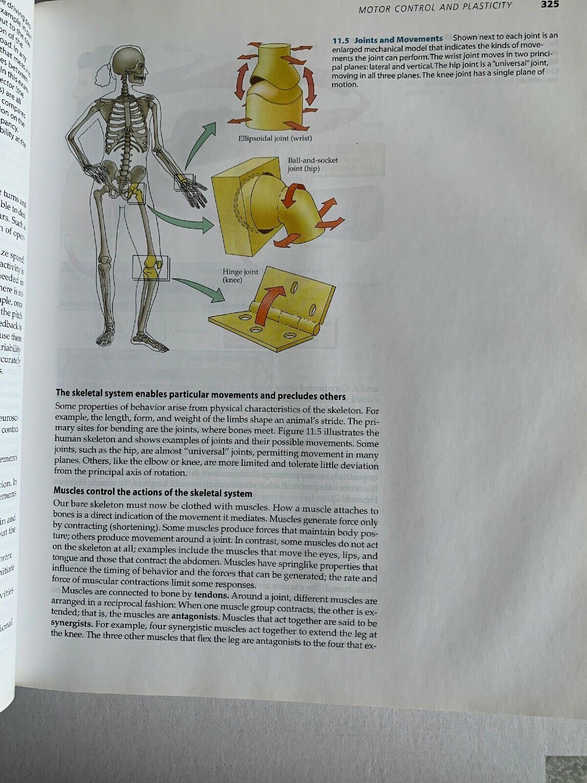 Biological Psychology by S. Marc Breedlove, Mark R. Rosenzweig, Neil V....
