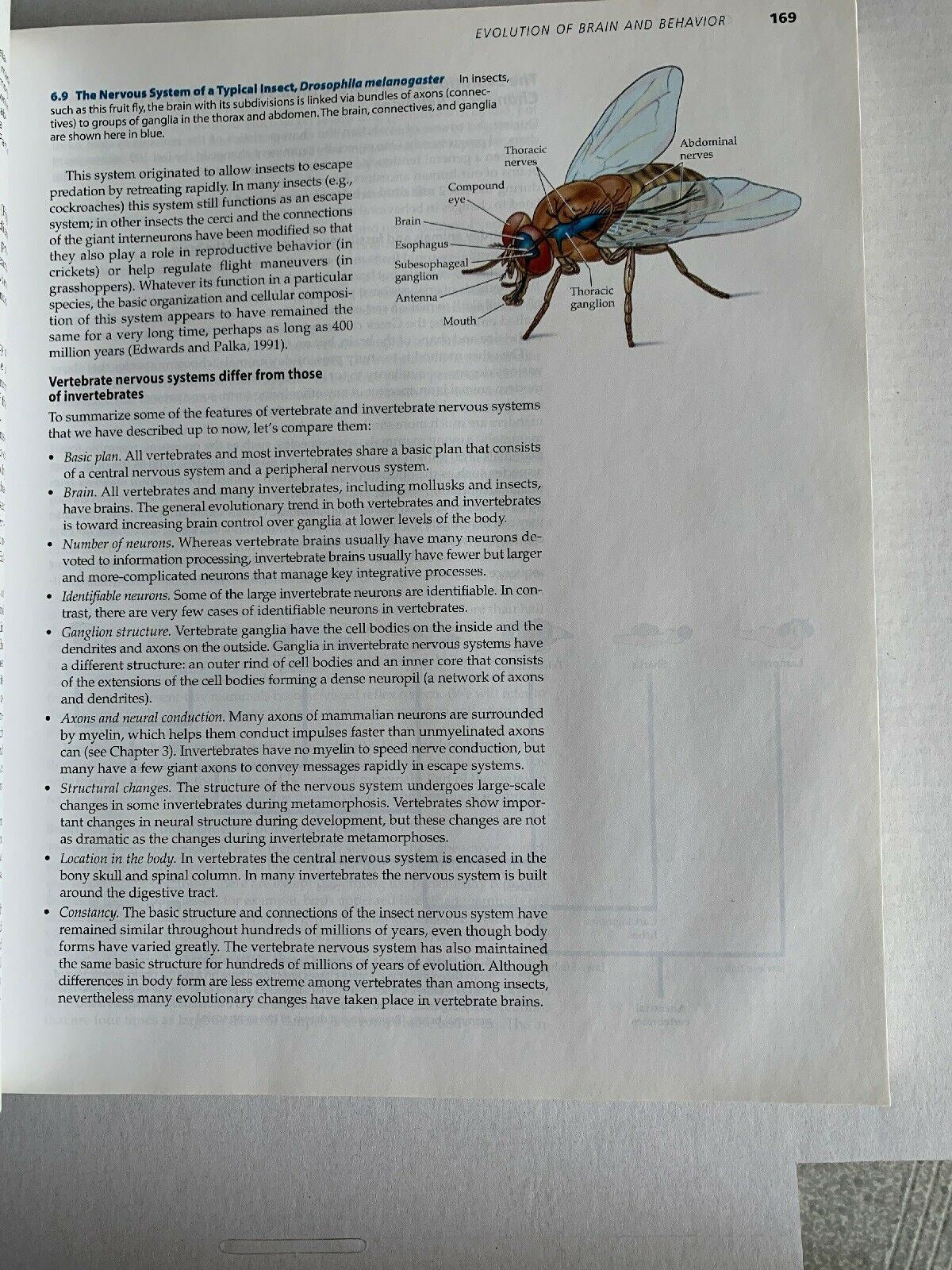 Biological Psychology by S. Marc Breedlove, Mark R. Rosenzweig, Neil V....