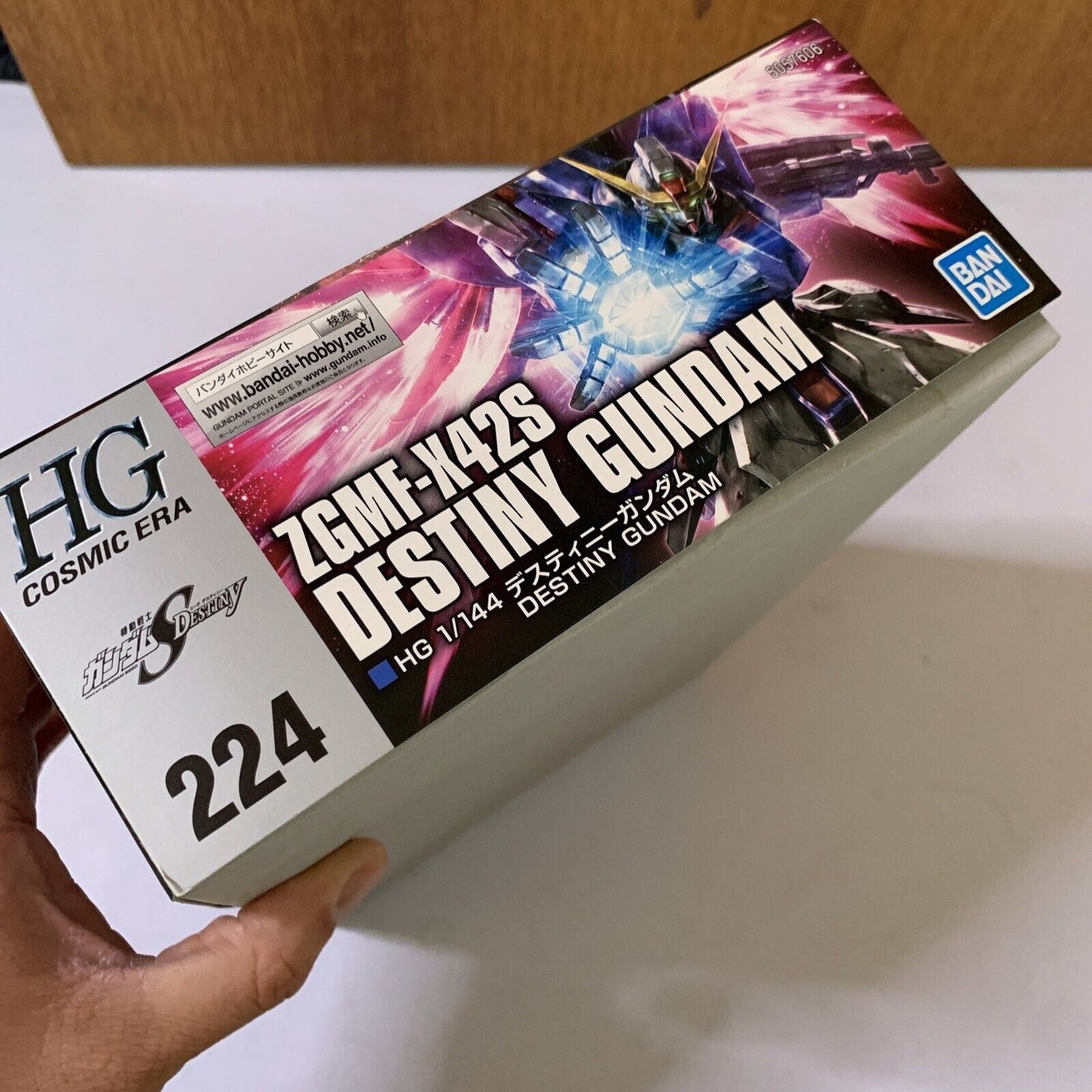 ZGMF-X42S Destiny Gundam HGCE 1/144 Bandai Gundam Gunpla 2019 JAPAN NEW