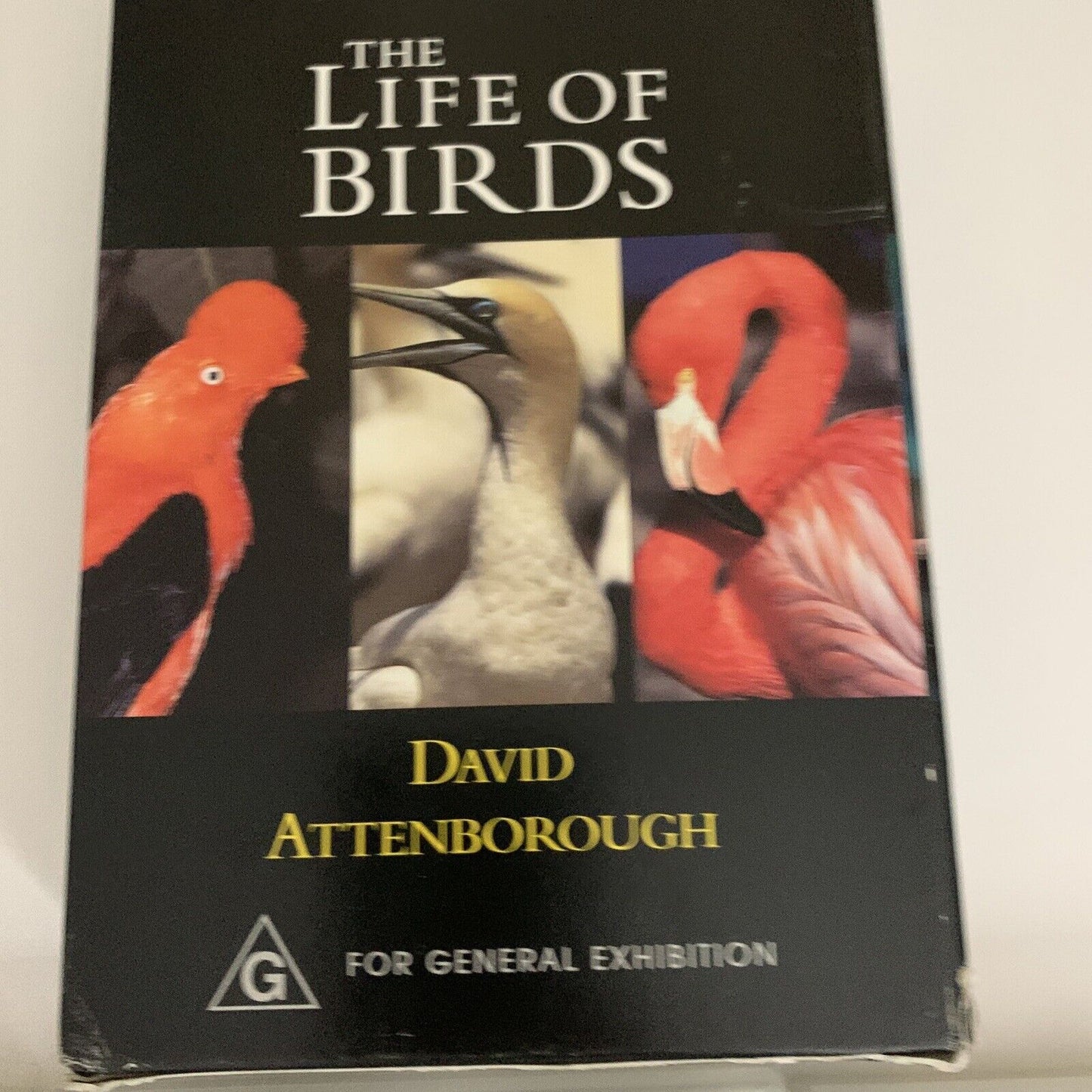 The Life of Birds (DVD, 1998) David Attenborough BBC Documentary Box Set Region4