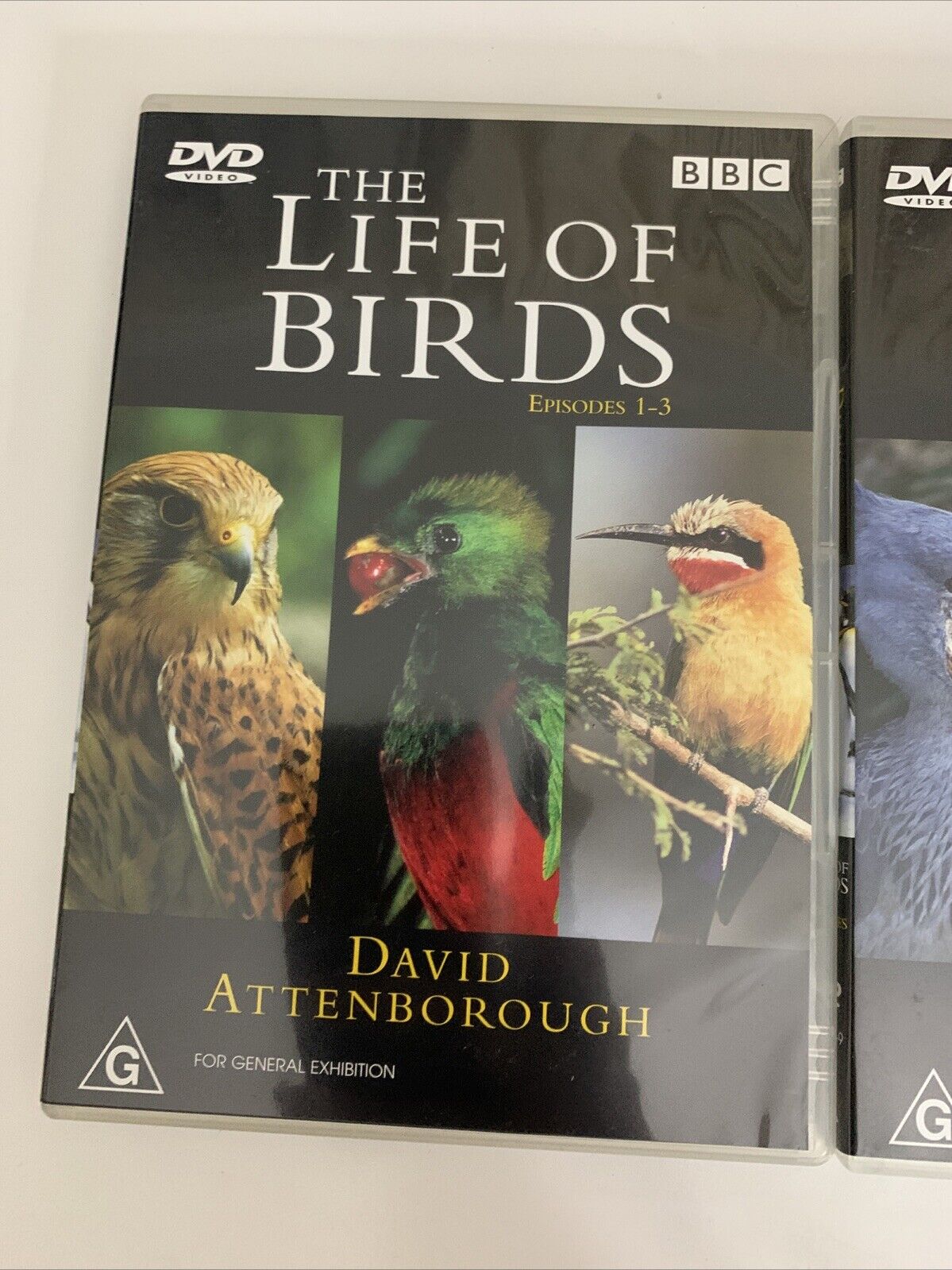 The Life of Birds (DVD, 1998) David Attenborough BBC Documentary Box Set Region4