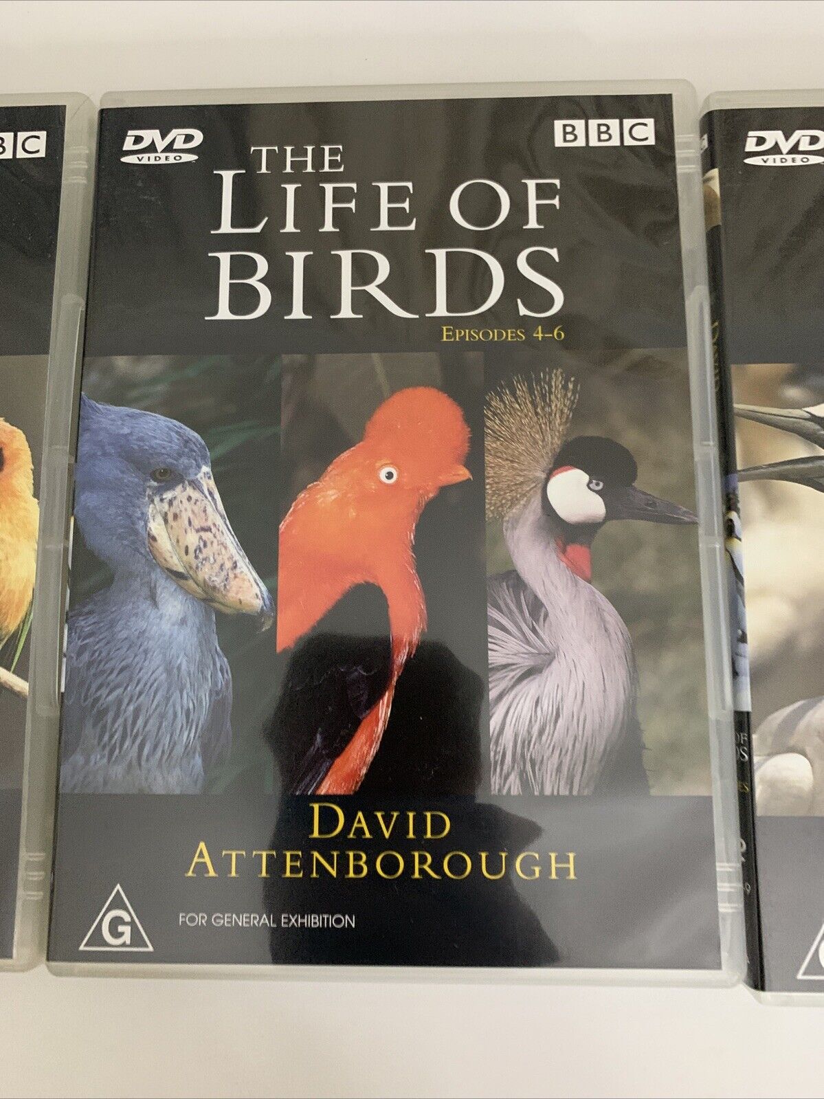 The Life of Birds (DVD, 1998) David Attenborough BBC Documentary Box Set Region4