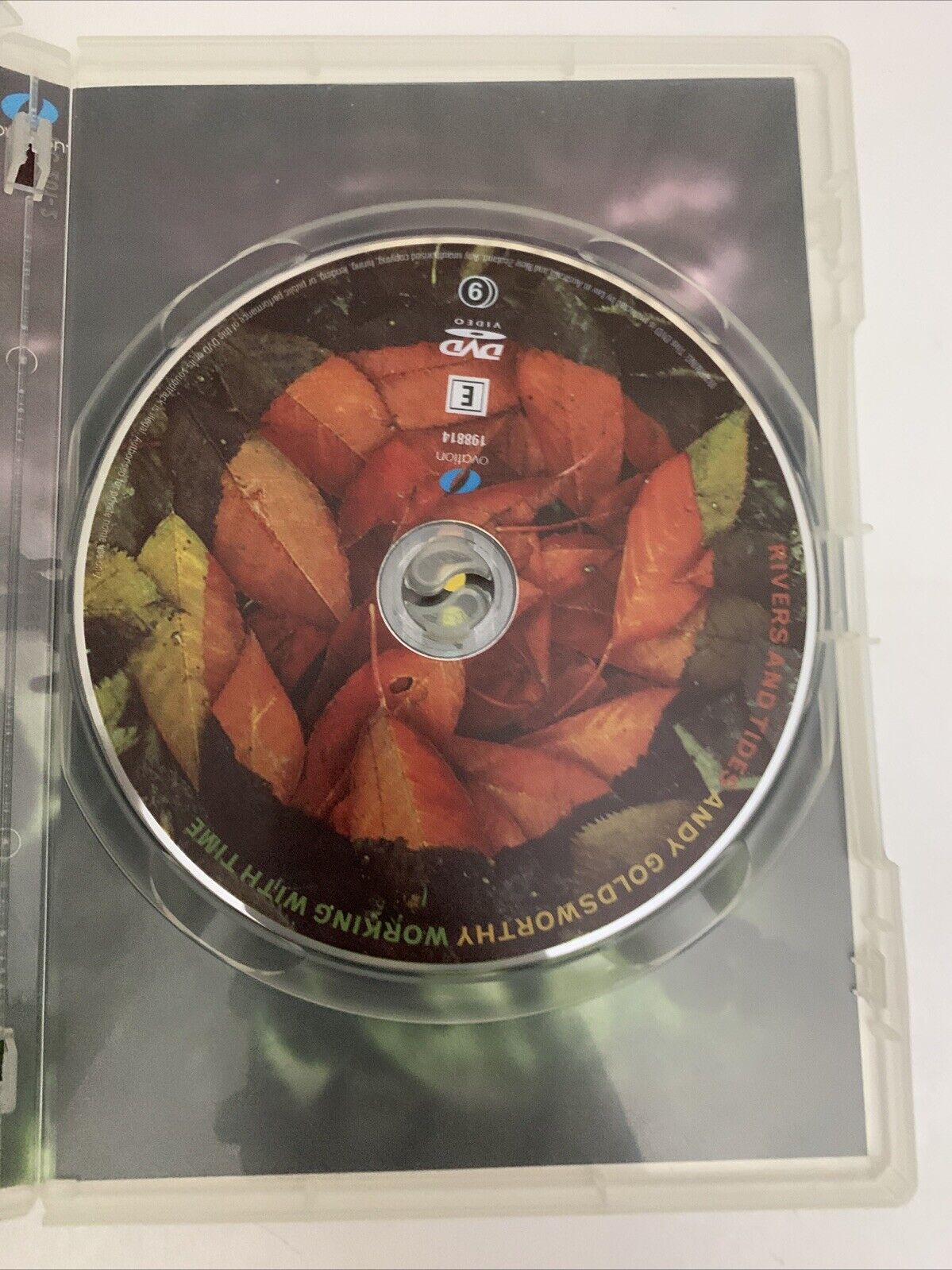 Andy Goldsworthy Rivers & Tides (DVD, 2001) Documentary All Regions