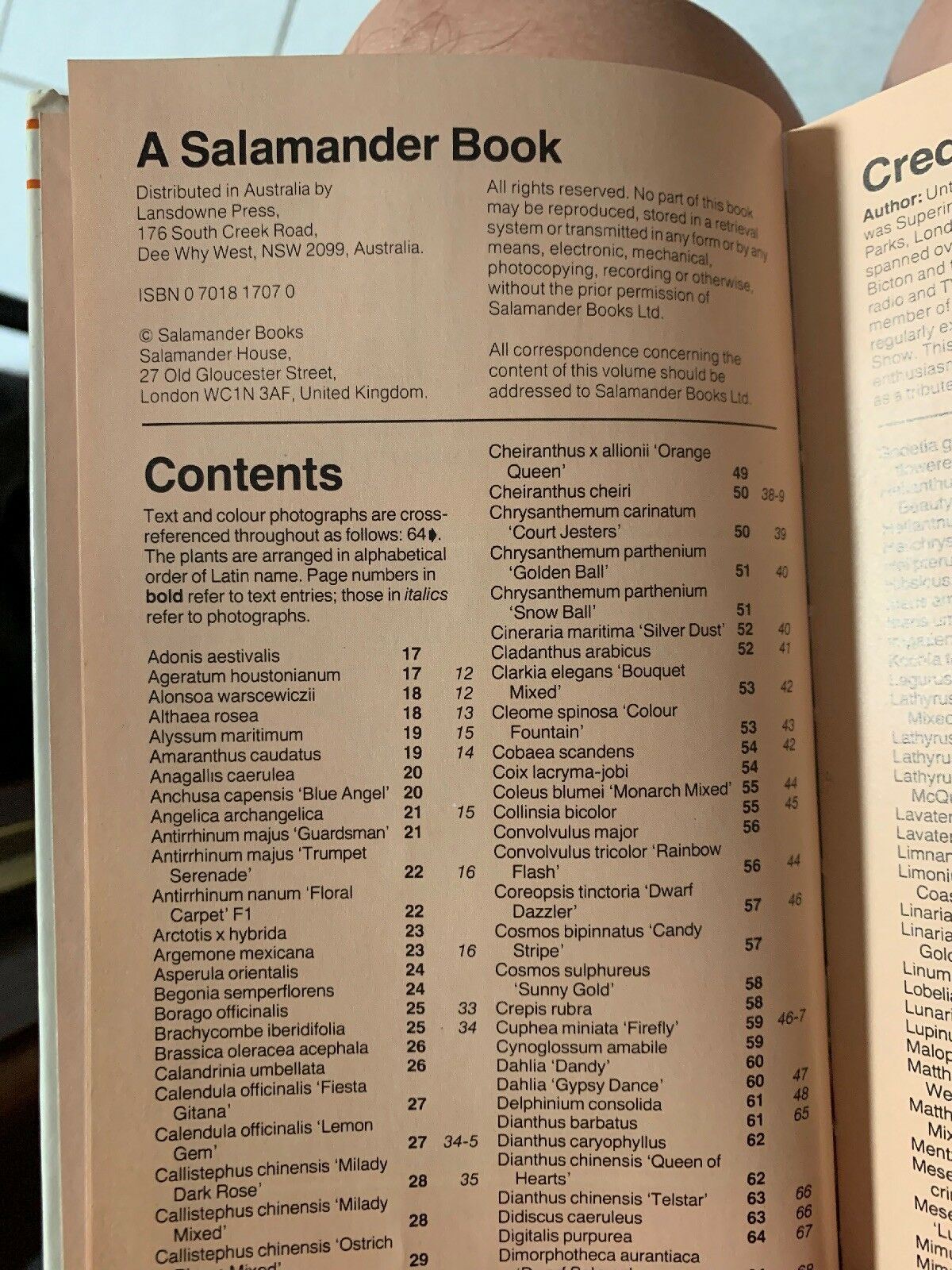 An Illustrated Guide To Annuals: Bob Legge