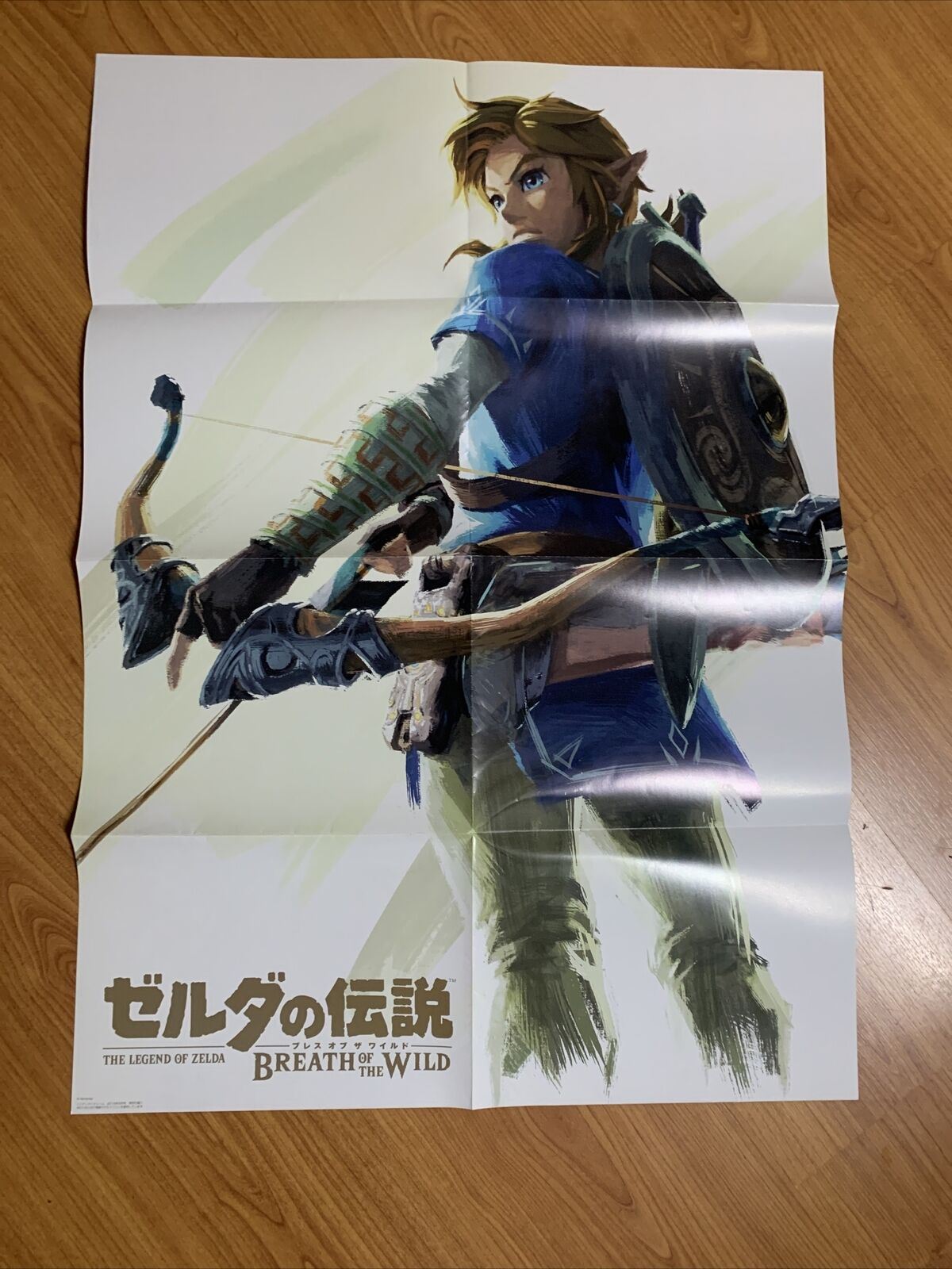 Official Nintendo The Legend Of Zelda: Breath Of The Wild Poster Japan