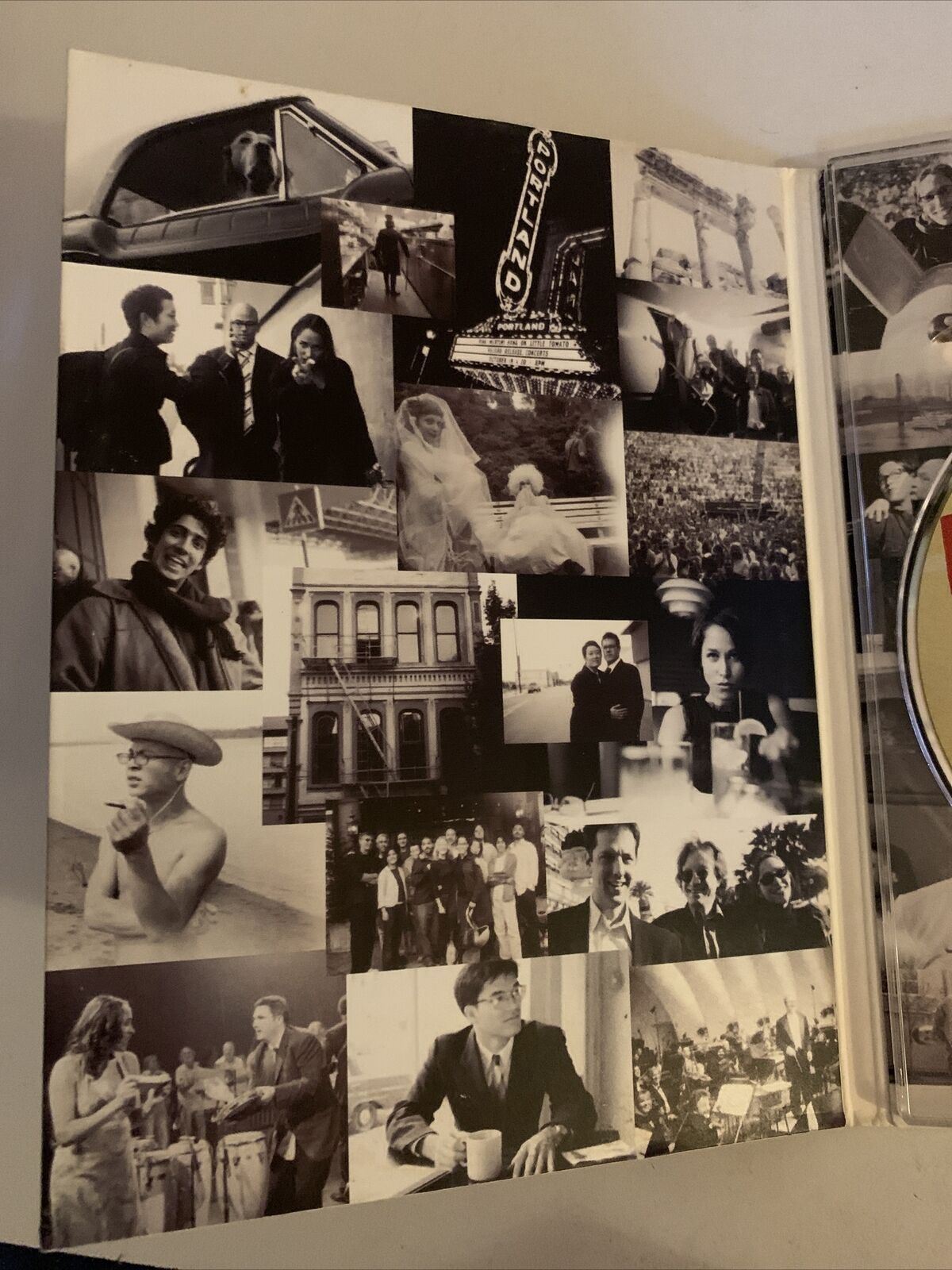 Pink Martini - Discover The World Live In Concert (DVD, 2009) All Regions