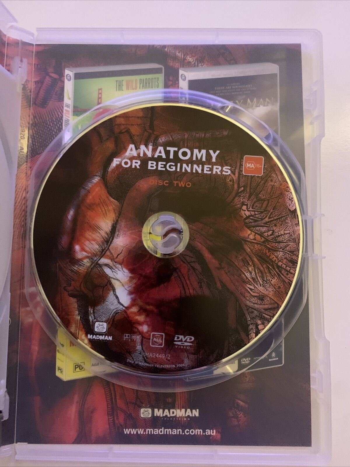 Anatomy For Beginners (DVD, 2006, 2-Disc Set) Documentary - Gunther von Hagens