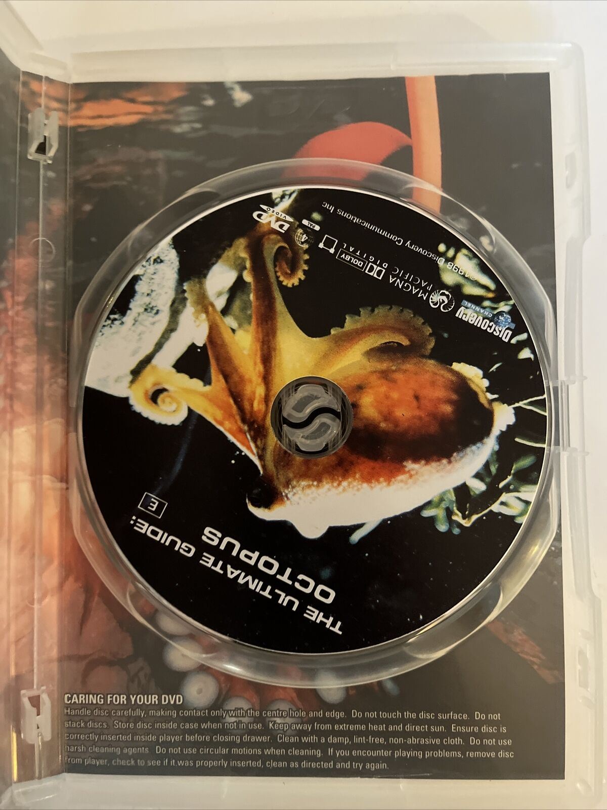 Discovery Channel - The Ultimate Guide Octopus (DVD) Region 4