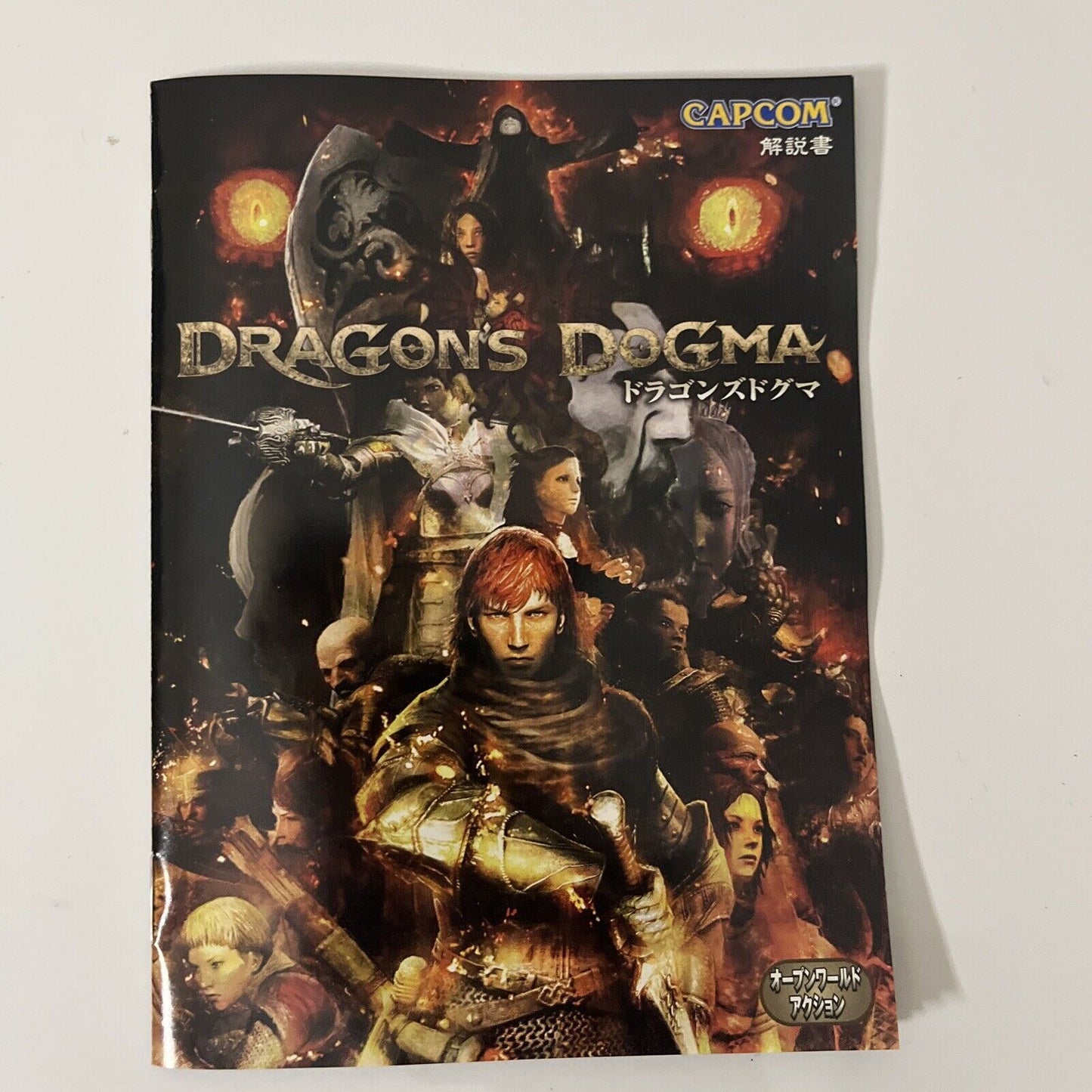 Dragon's Dogma - Sony PlayStation 3 PS3 JAPAN Game Complete