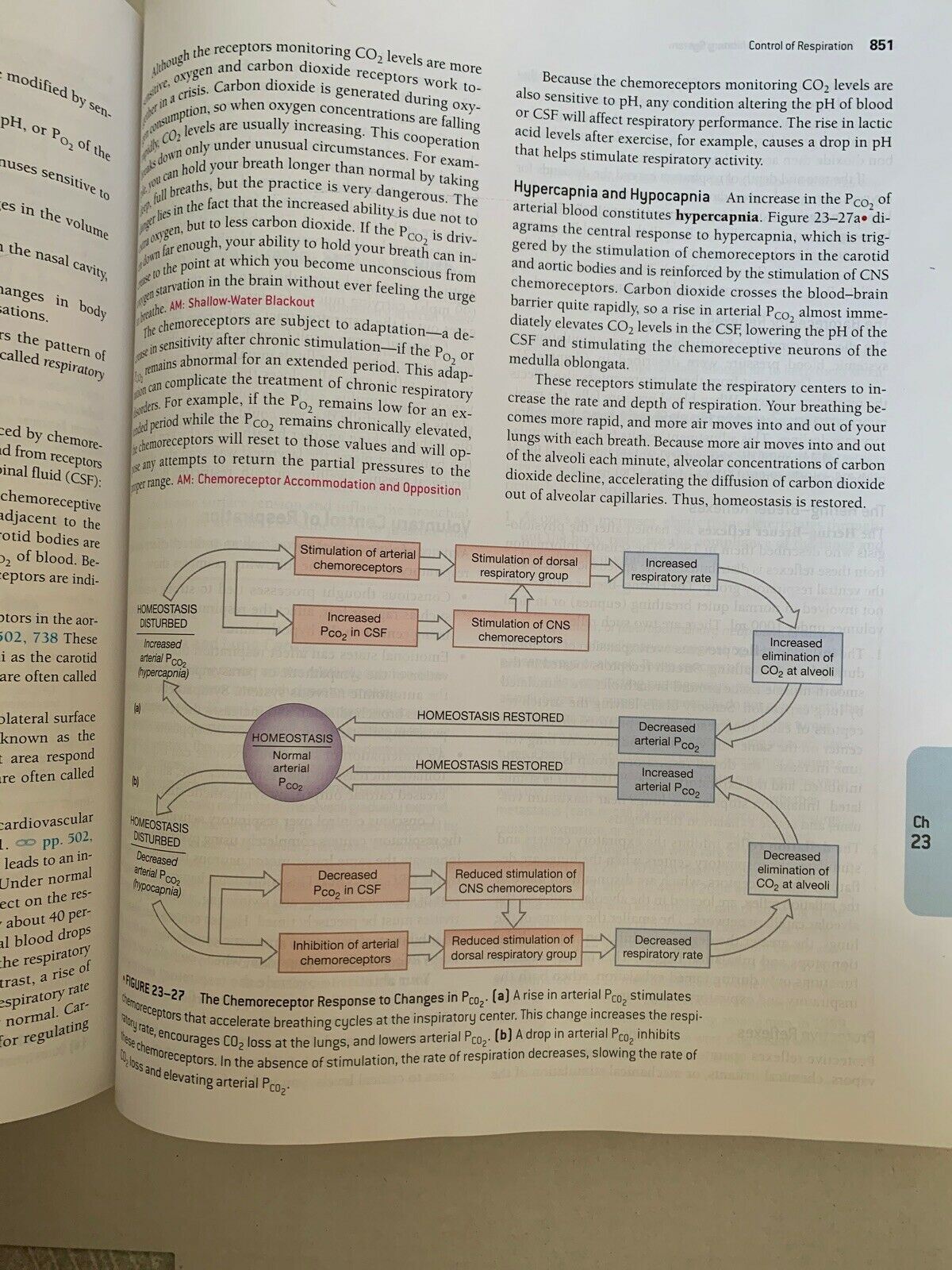Fundamentals Of Anatomy & Physiology By Frederic H Martini 7th Edition