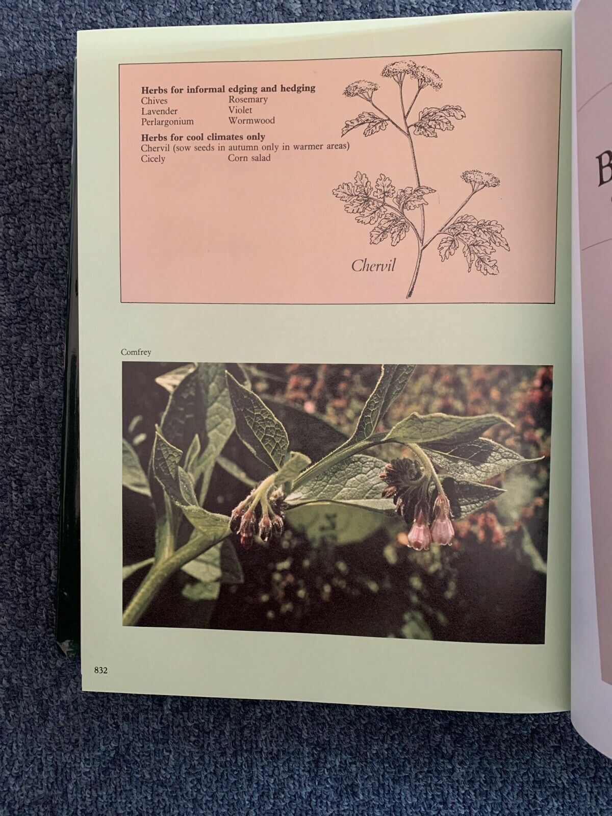 The Complete Australian Gardener by Bay Books