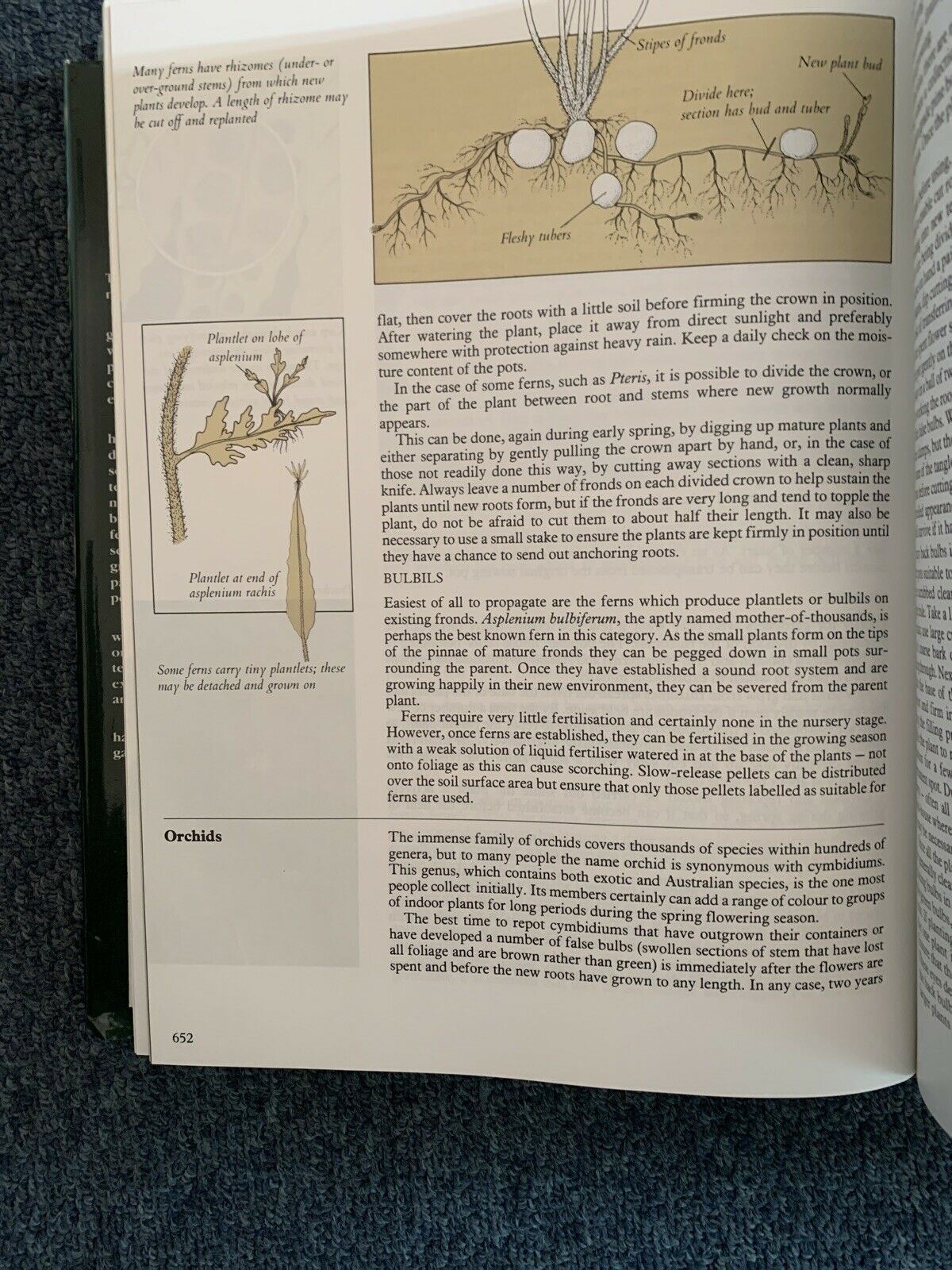 The Complete Australian Gardener by Bay Books