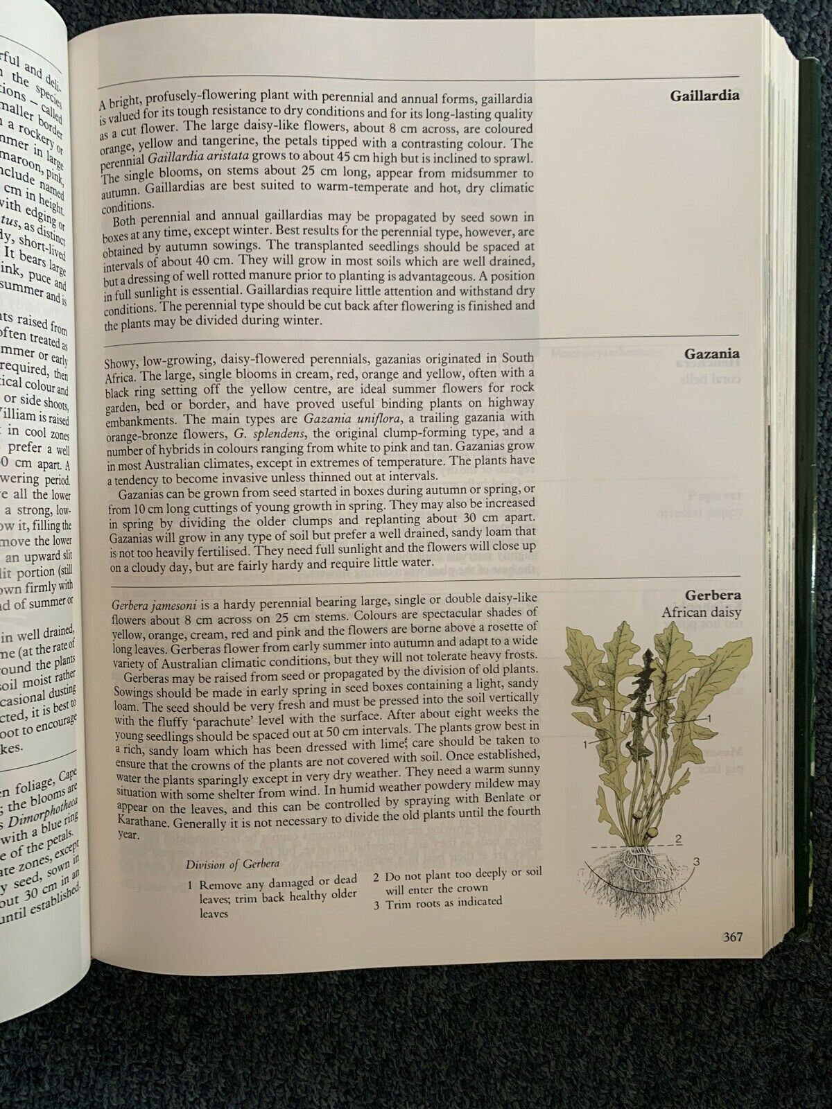 The Complete Australian Gardener by Bay Books
