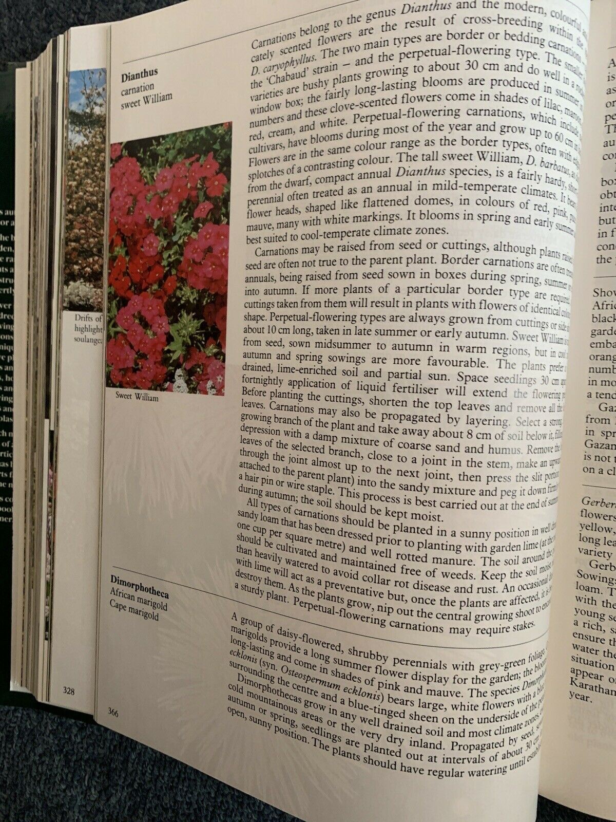 The Complete Australian Gardener by Bay Books