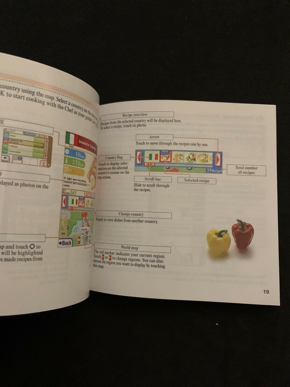 Cooking Guide - Can't Decide What to Eat? - Nintendo DS with Manual