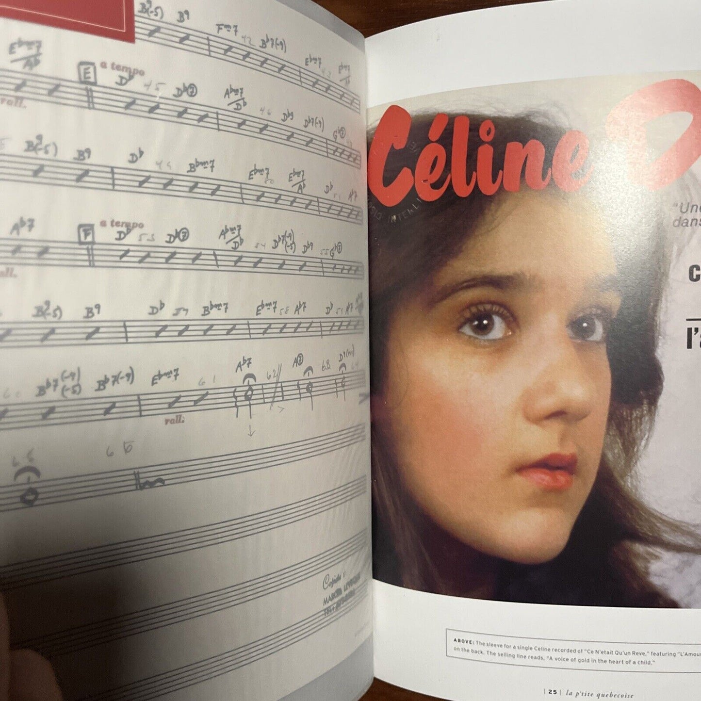 Celine Dion: For Keeps by Jenna Glatzer (Hardcover, 2005)