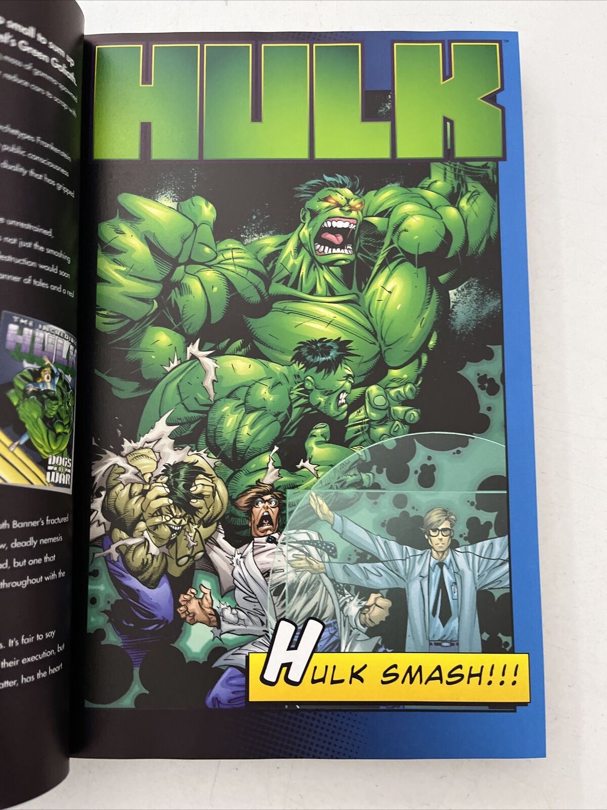 Marvel's Mightiest Heroes: The Hulk Comic Hardcover Book No 10.