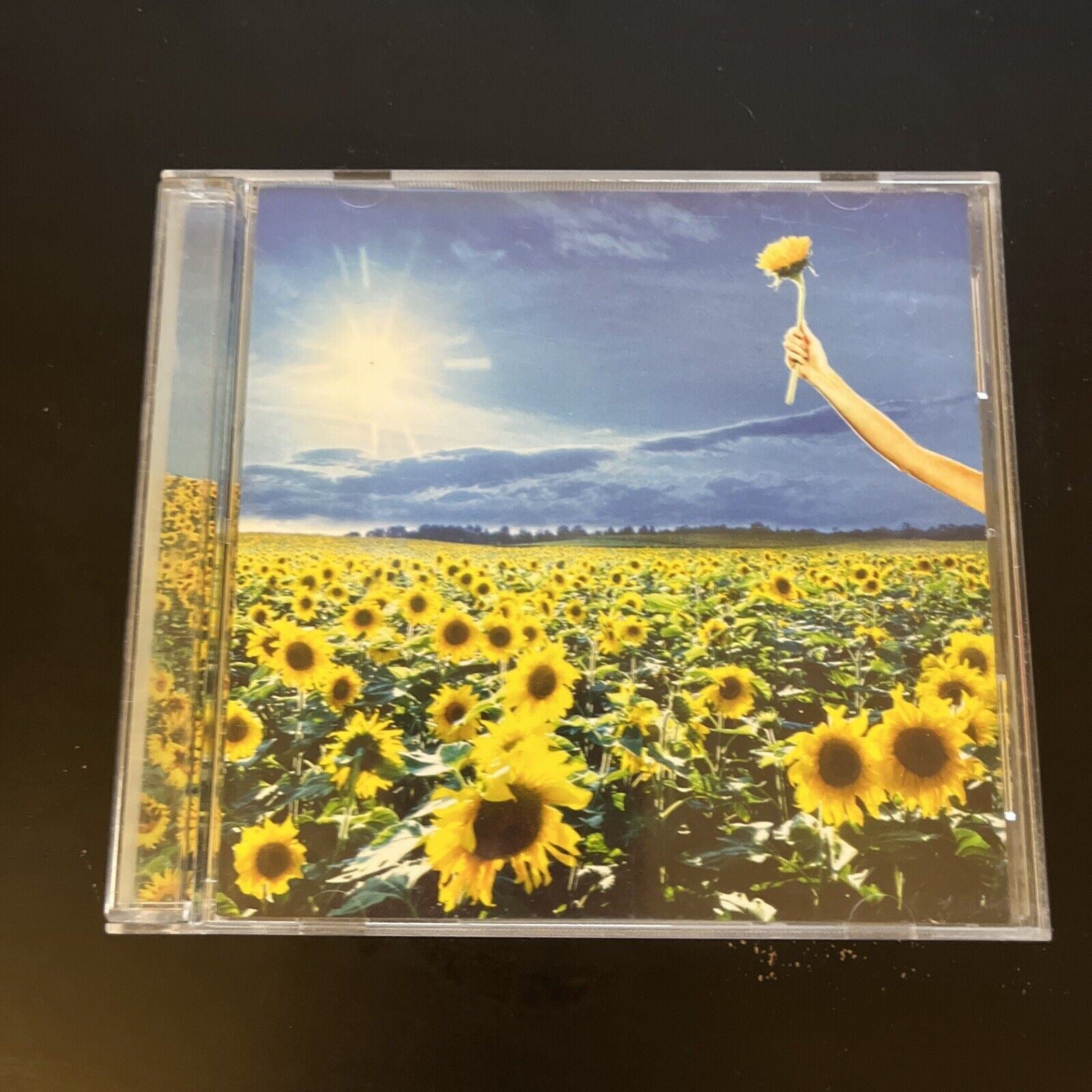 Stone Temple Pilots ‎ Thank You (CD, 2003) Retro Unit