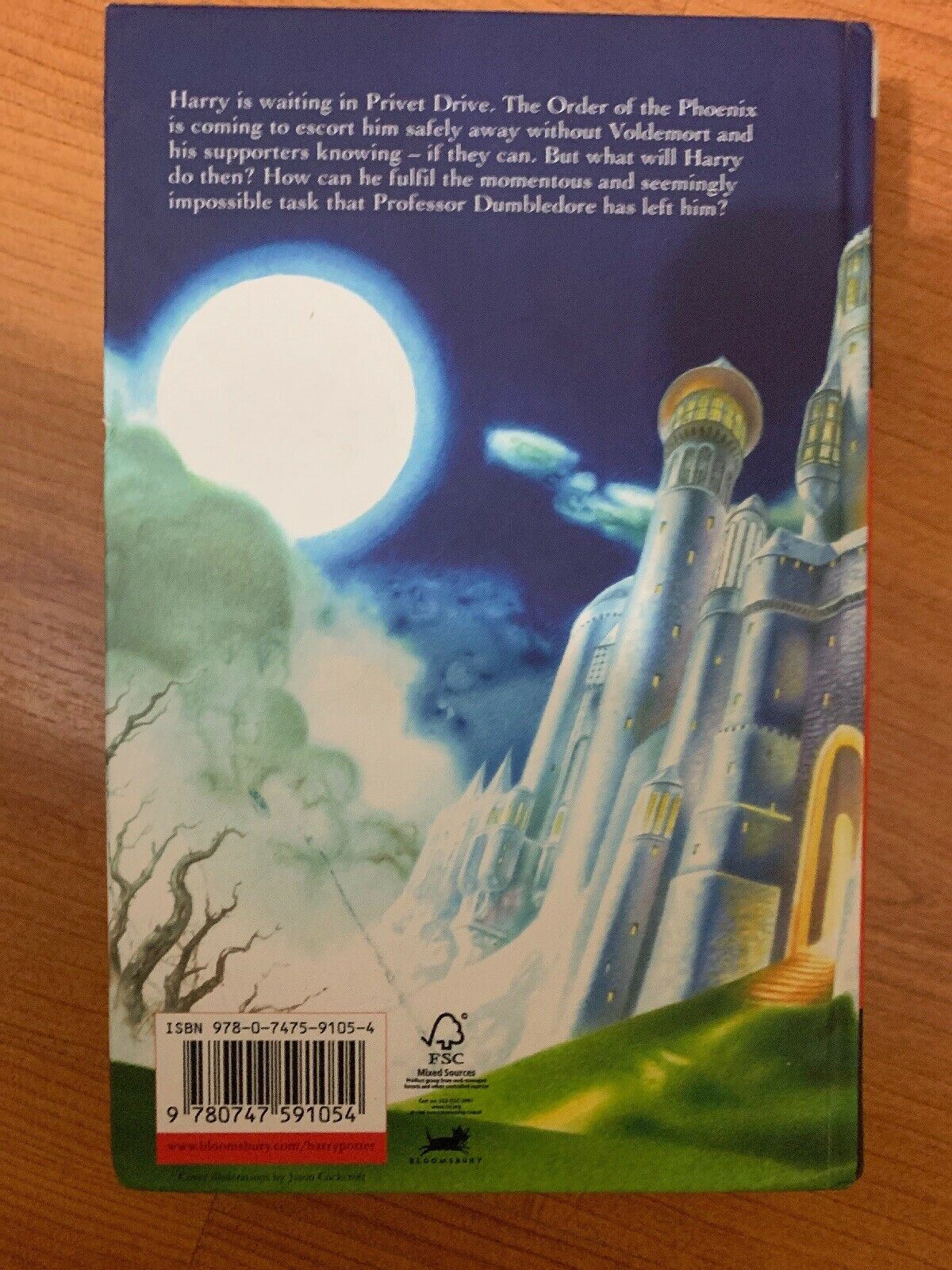 Harry Potter and the Deathly Hallows J.K. Rowling HC/DJ 1st Edition