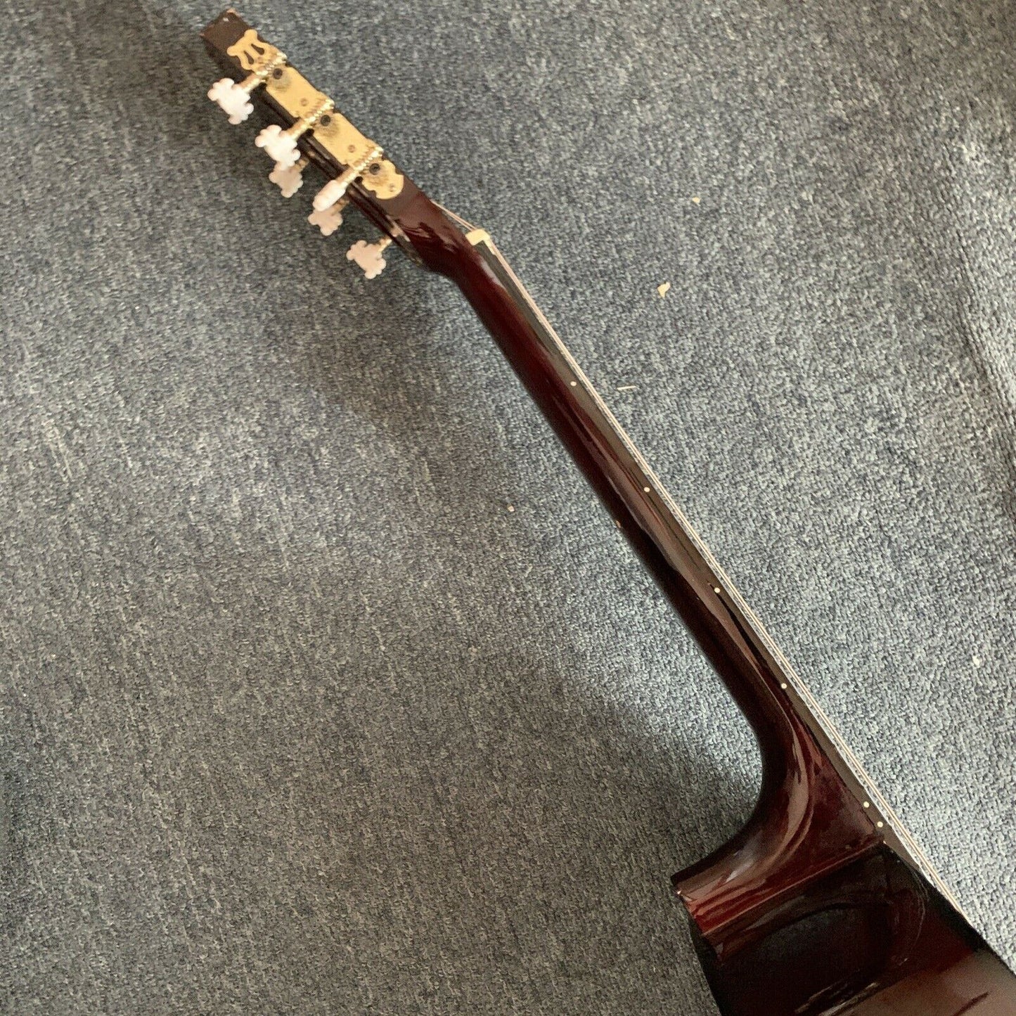 Ashton Acoustic Guitar Full Size Right Handed CG44AM *Requires New Strings*