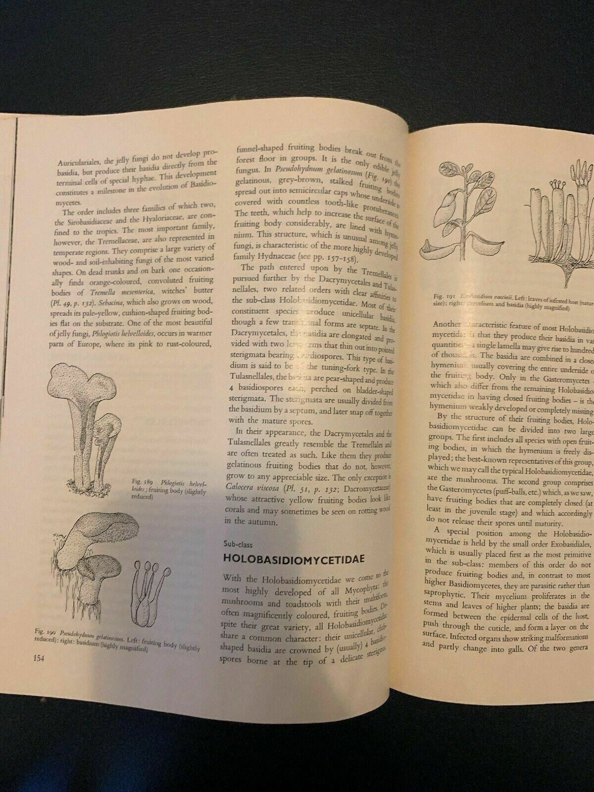 Plants Of The World: The Lower Plants by K.B.Boedijn 1968 Hardcover First Editio
