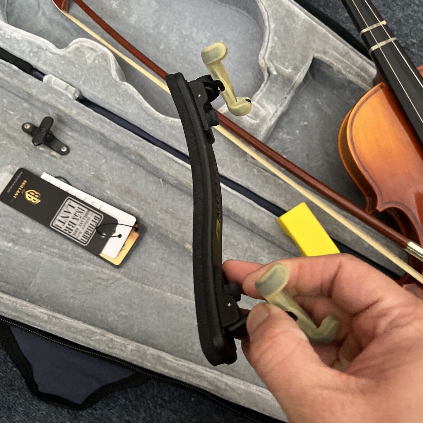 Brilliant Violin with Case
