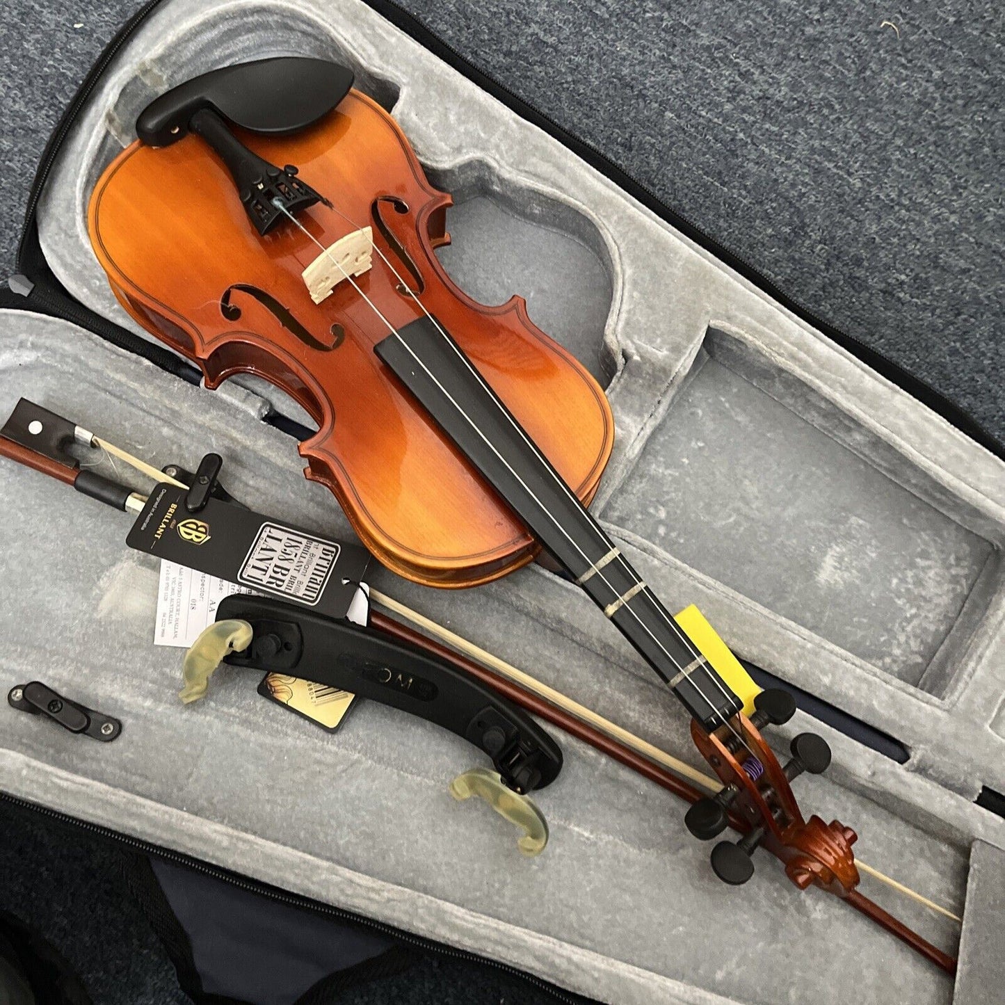 Brilliant Violin with Case