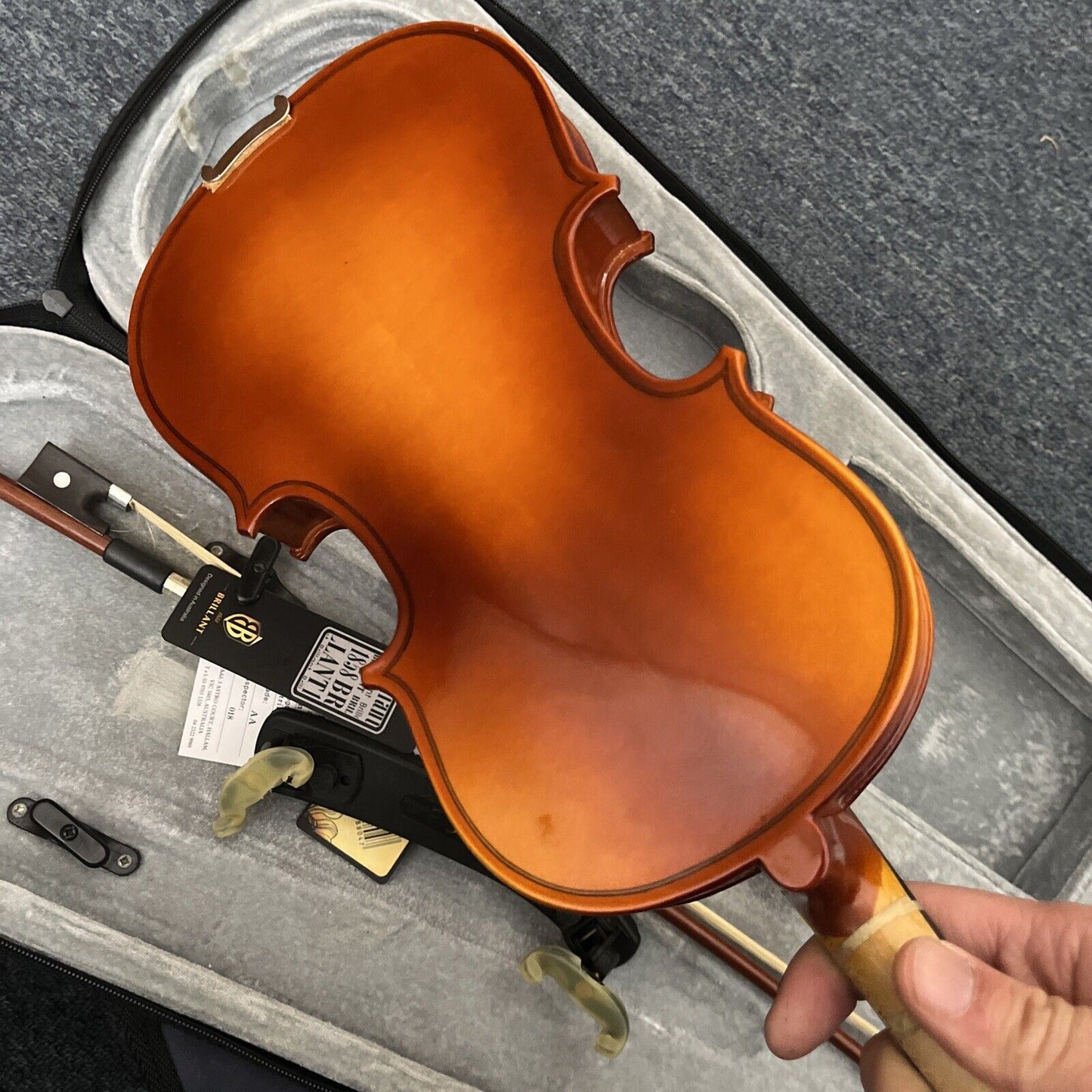 Brilliant Violin with Case