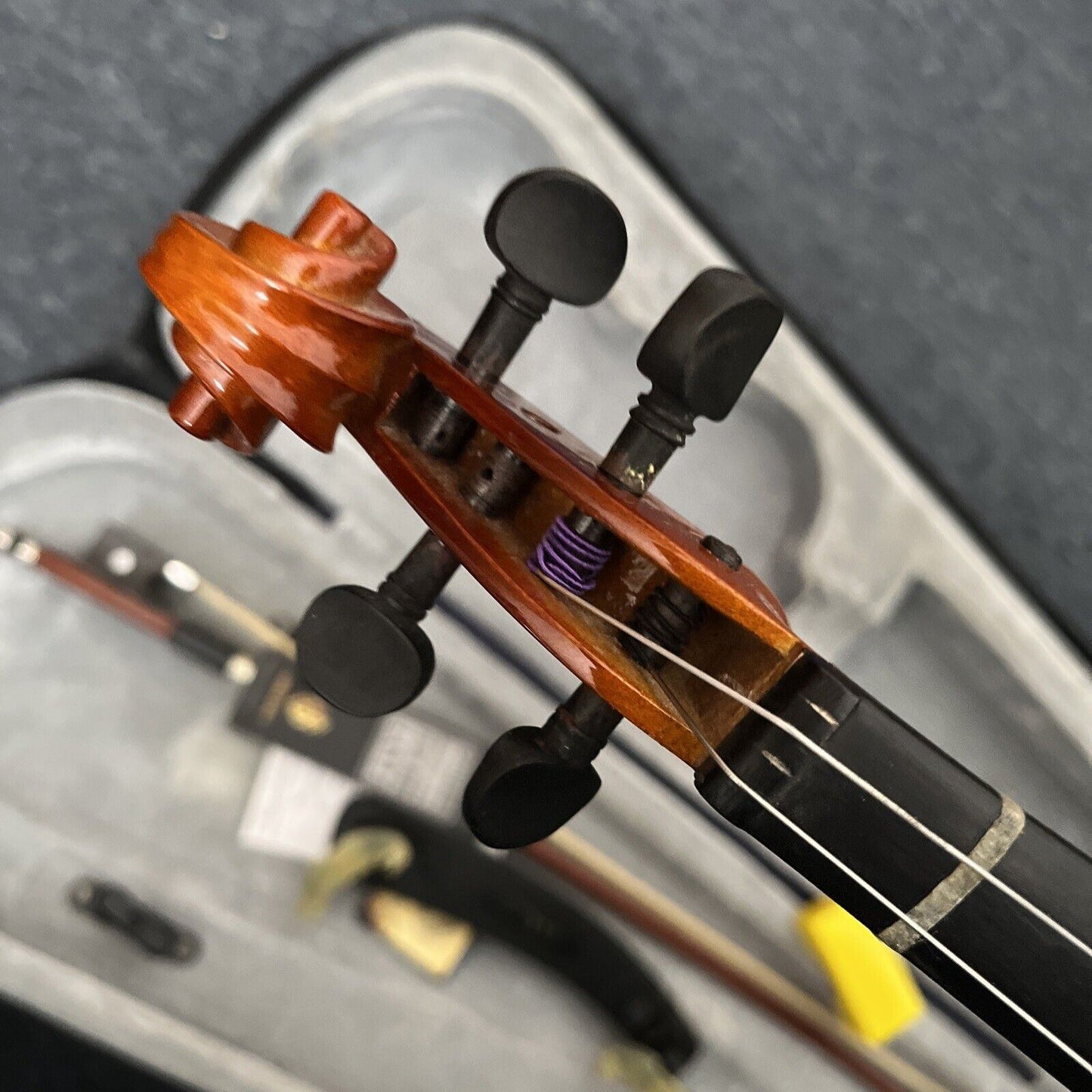 Brilliant Violin with Case