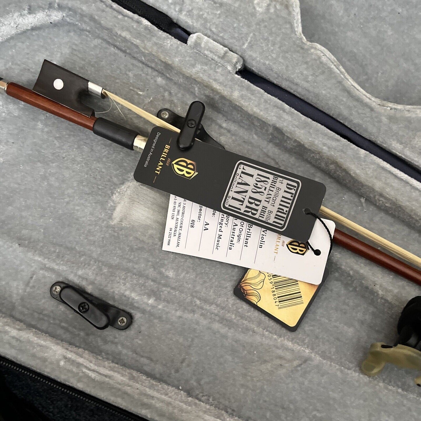 Brilliant Violin with Case